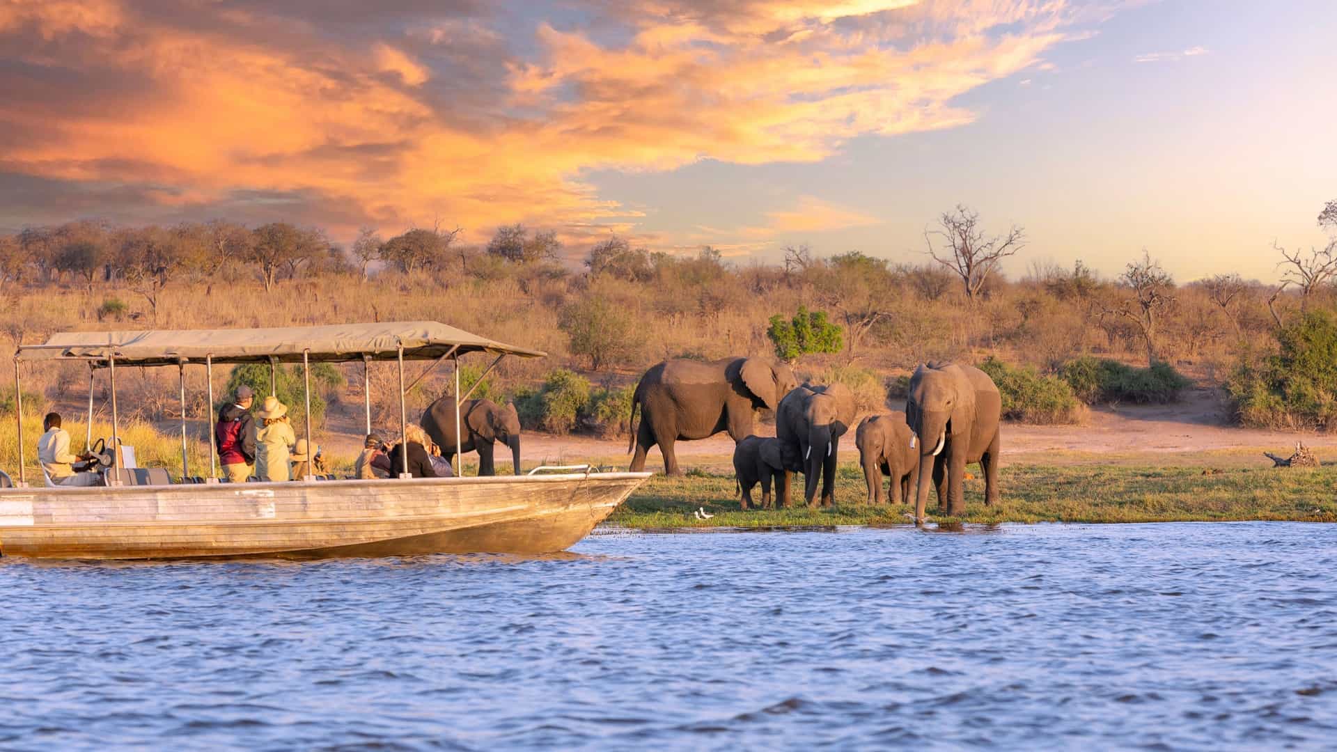 1920x1080 Chobe River, Africa Cruise Port & Excursions 27. The Cruise Web