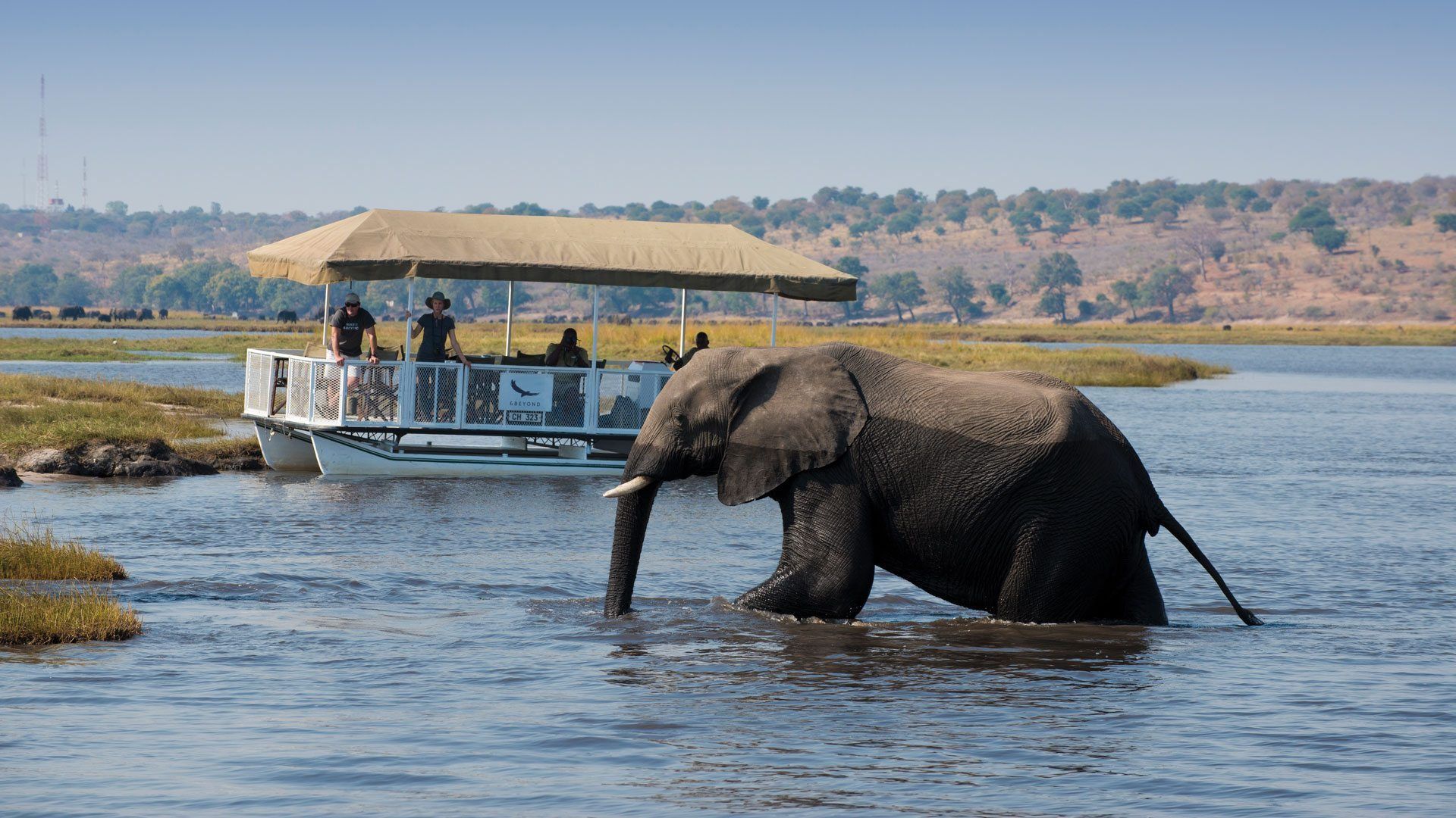 1920x1080 Chobe National Park in Botswana