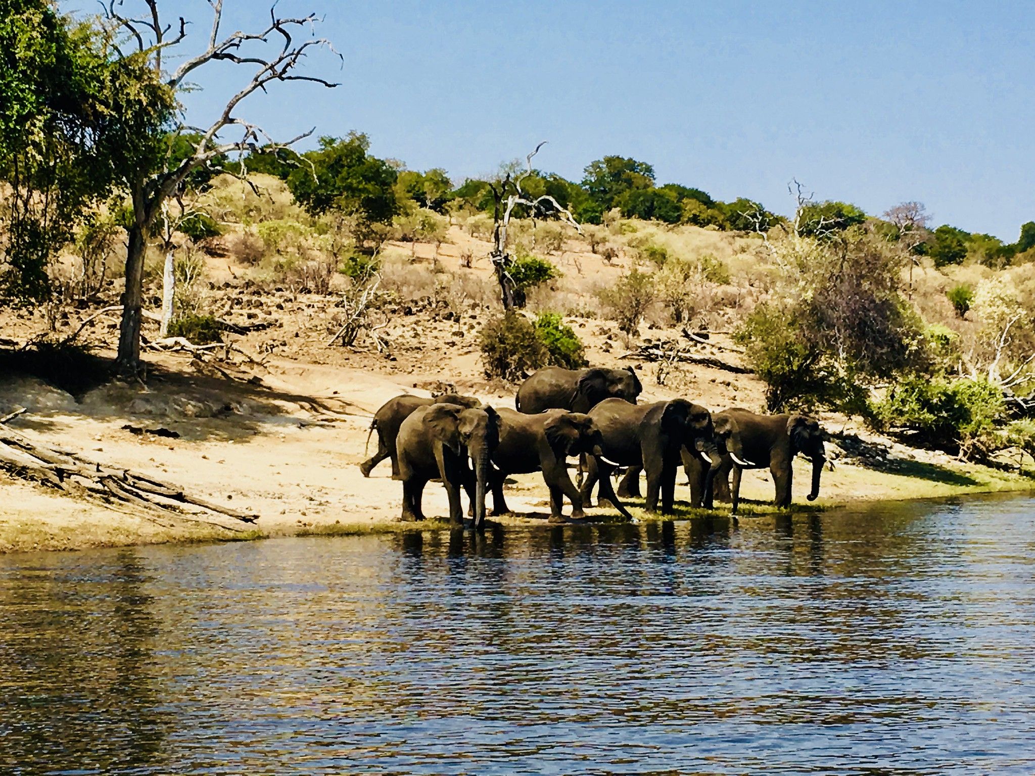 2048x1536 Botswana: Day Trip to Chobe National Park, 27 August 2018