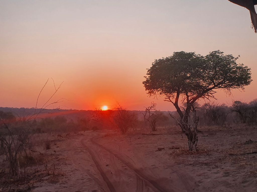 1024x768 An African Adventure: Day 12