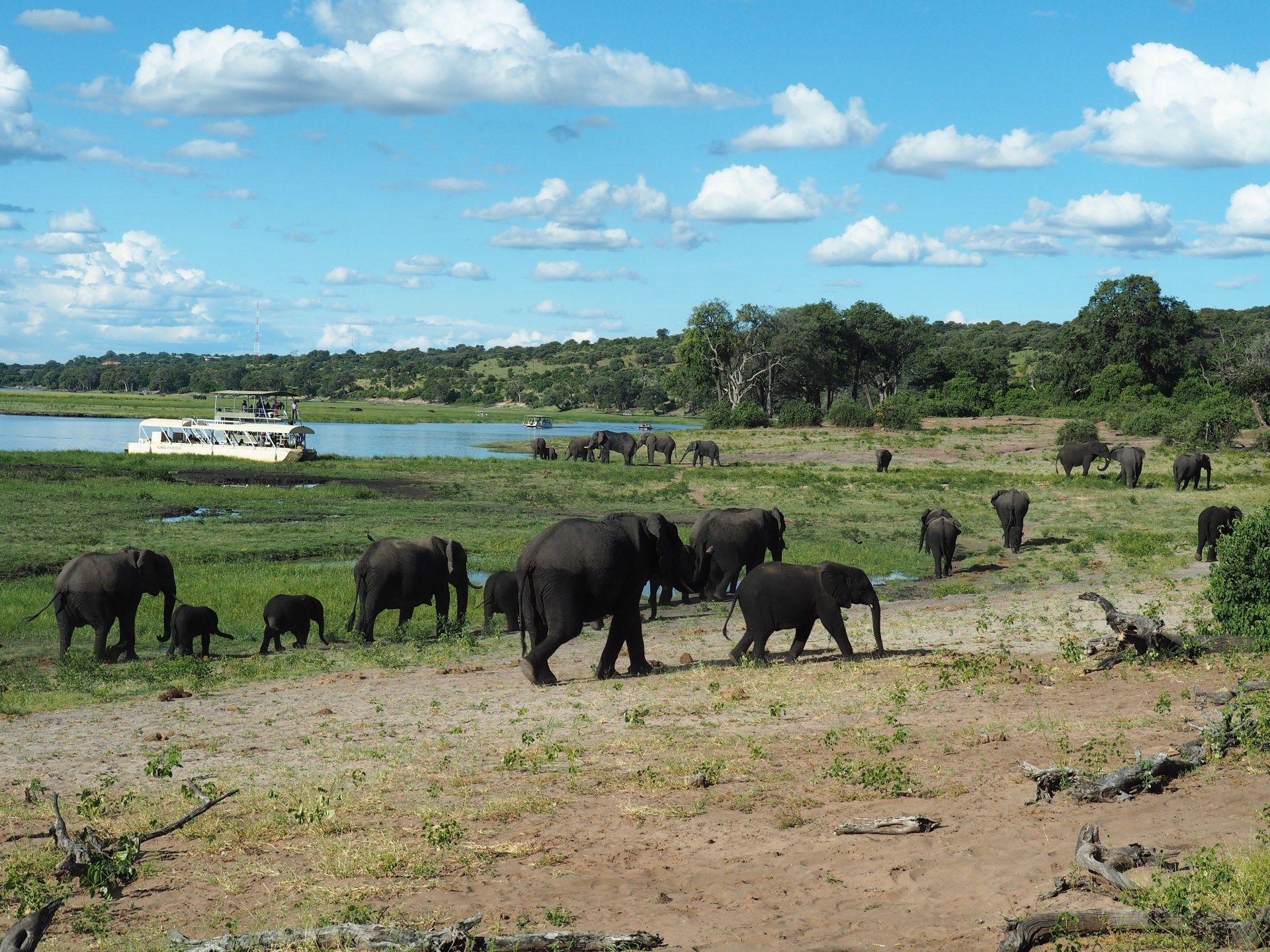 1920x1440 Chobe National Park Through My Lens: A Photo Essay Two Roam