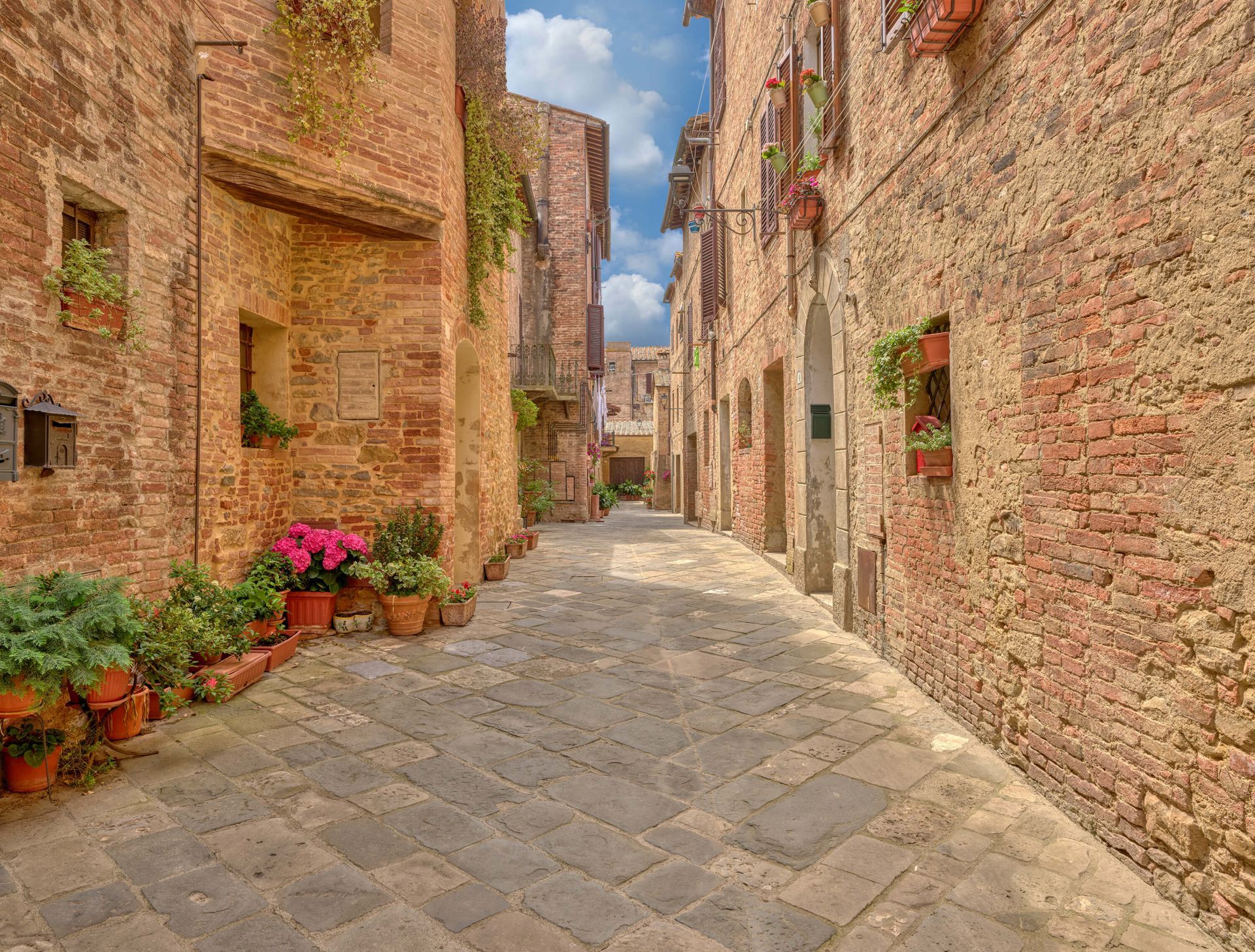 1920x1457 Wallpaper Mural street with plants and flowers