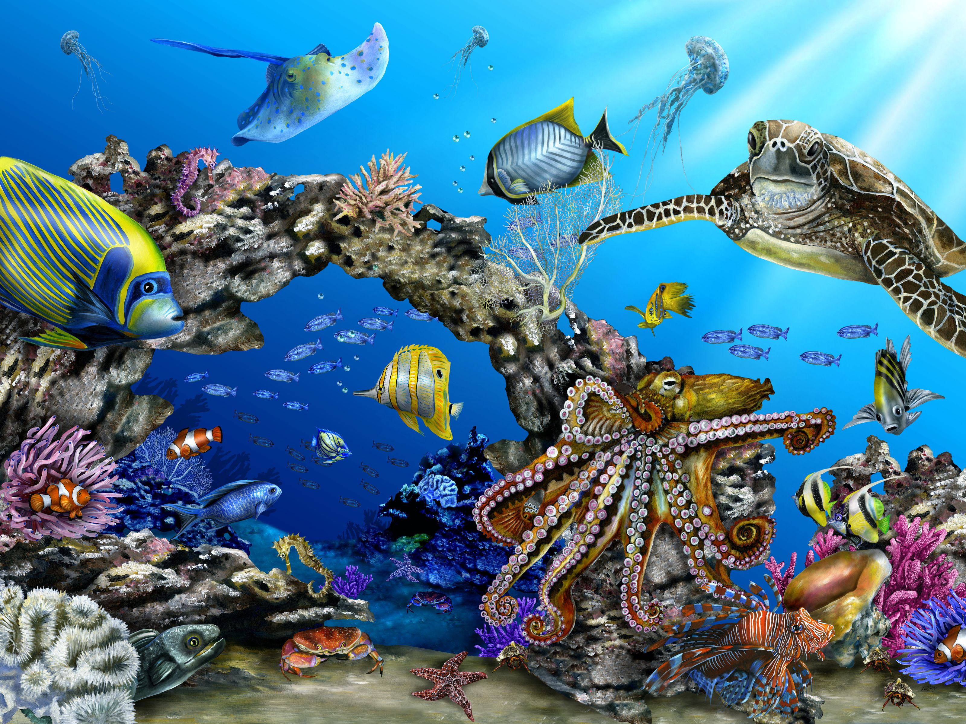 3200x2400 Reef Puzzle Wall Mural