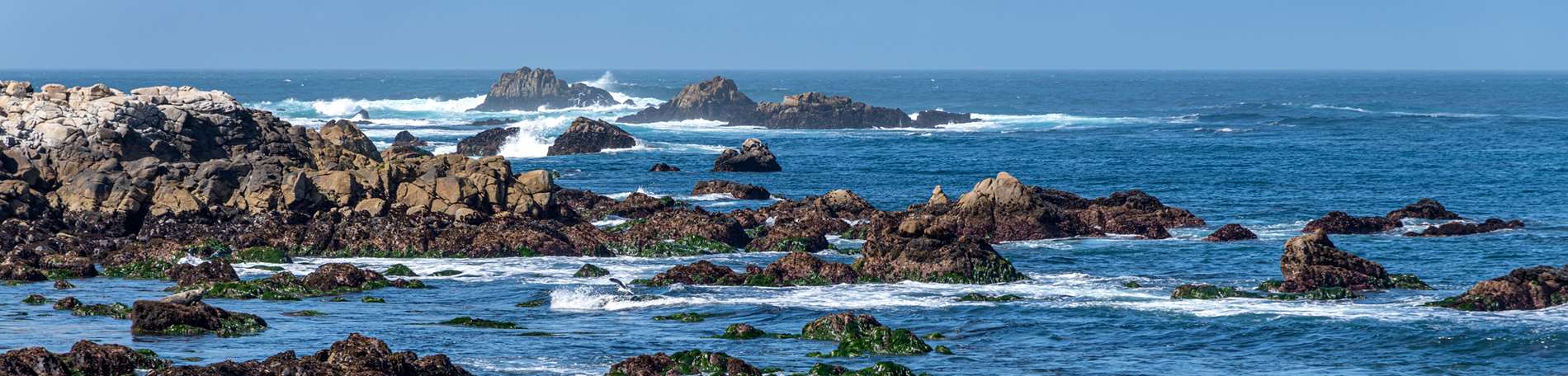 1900x456 Rocky shore. Habitats. Monterey Bay Aquarium