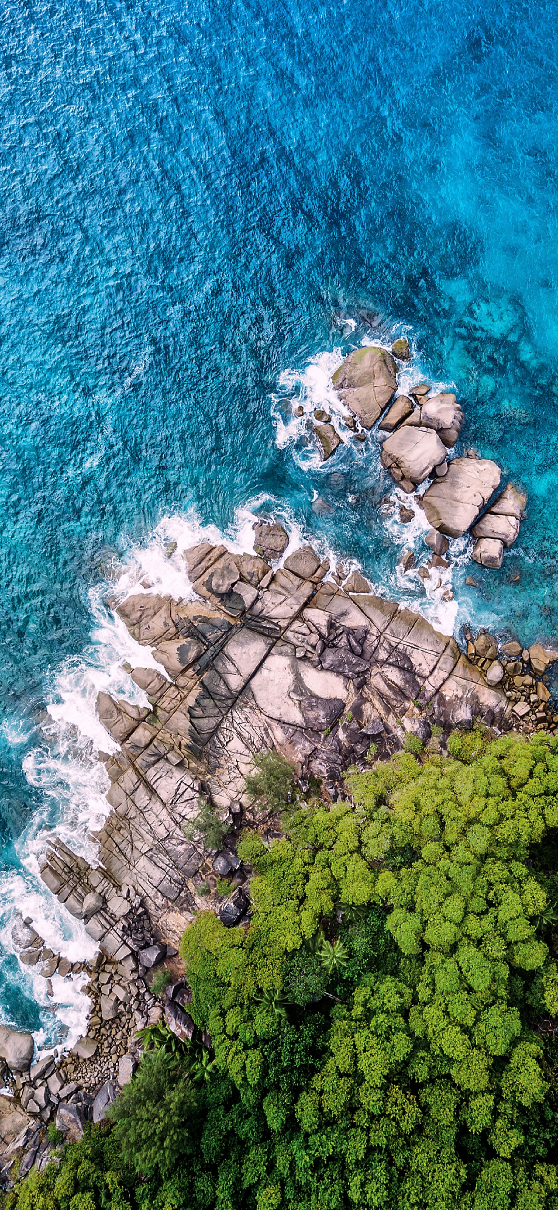 1800x3899 Rock Beach And Forest From Above