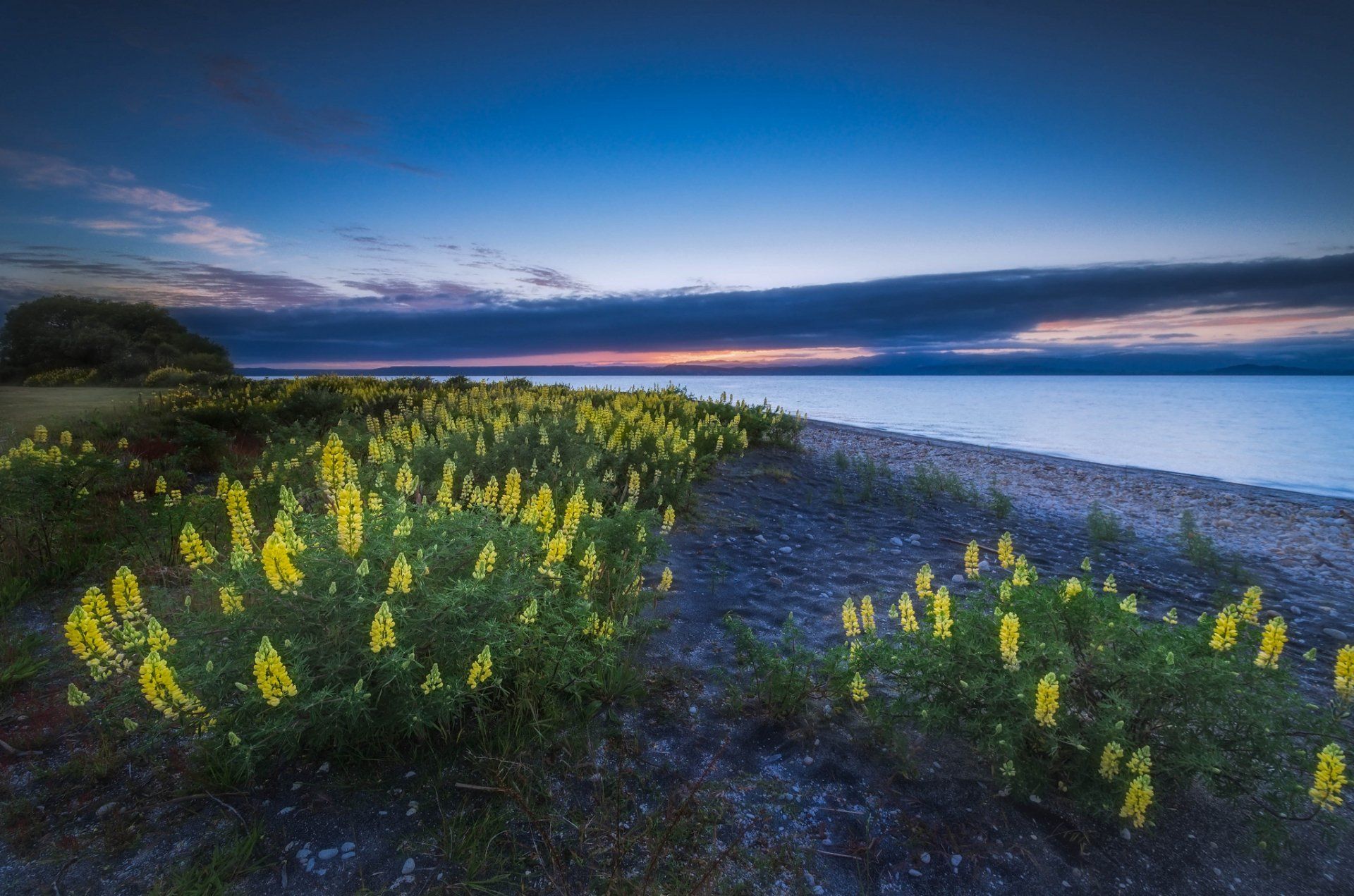 1920x1271 Lake Taupo Serenity: Nature's HD Lakeside Bliss