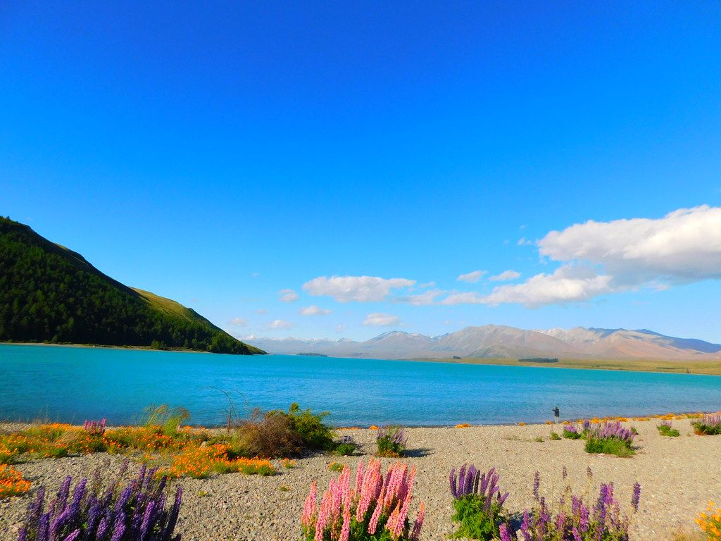 1024x768 lake taupo