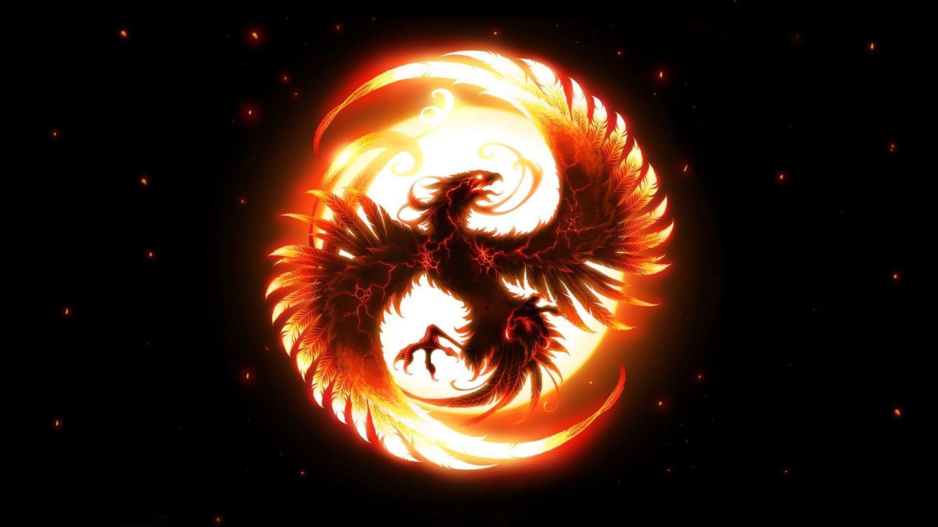 Cool Phoenix Wallpapers Top Free Cool Phoenix Backgrounds