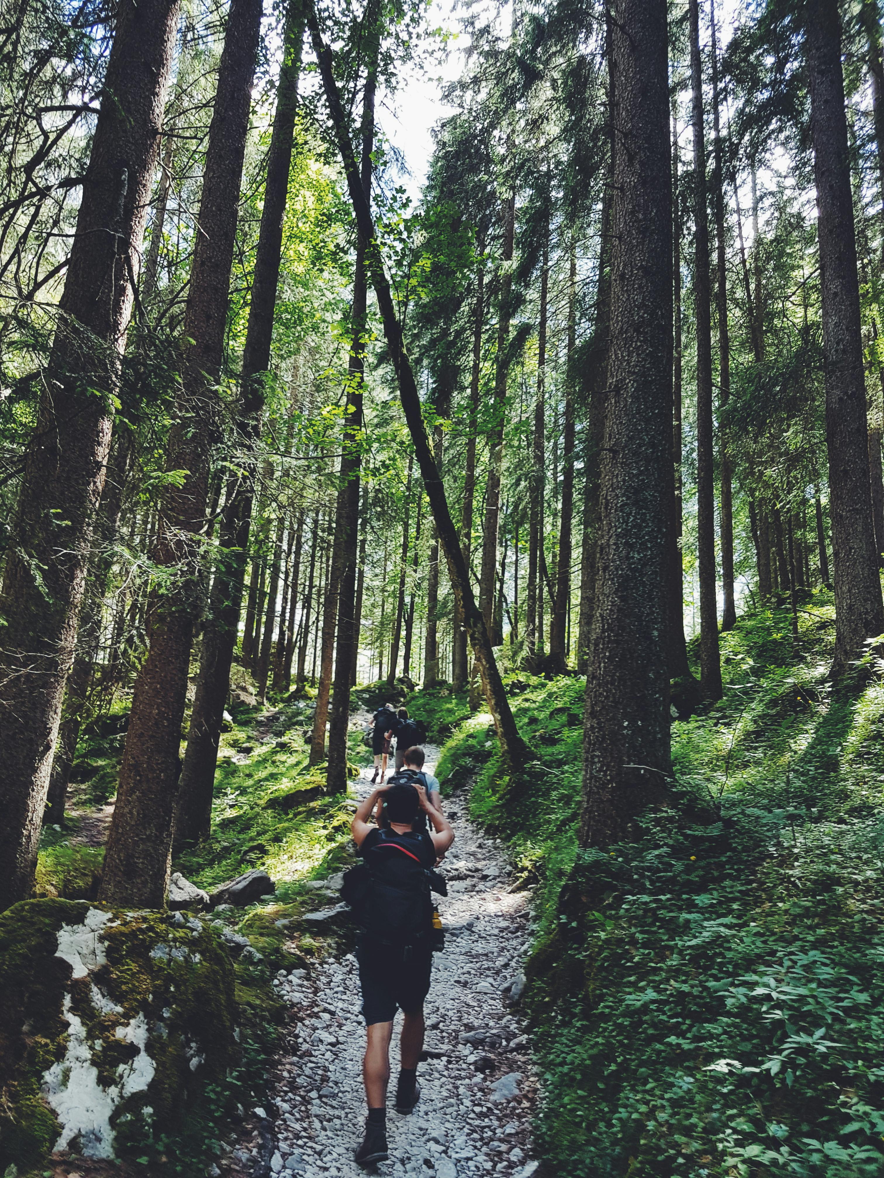 3024x4032 Hiking Photo, Download The BEST Free Hiking & HD Image