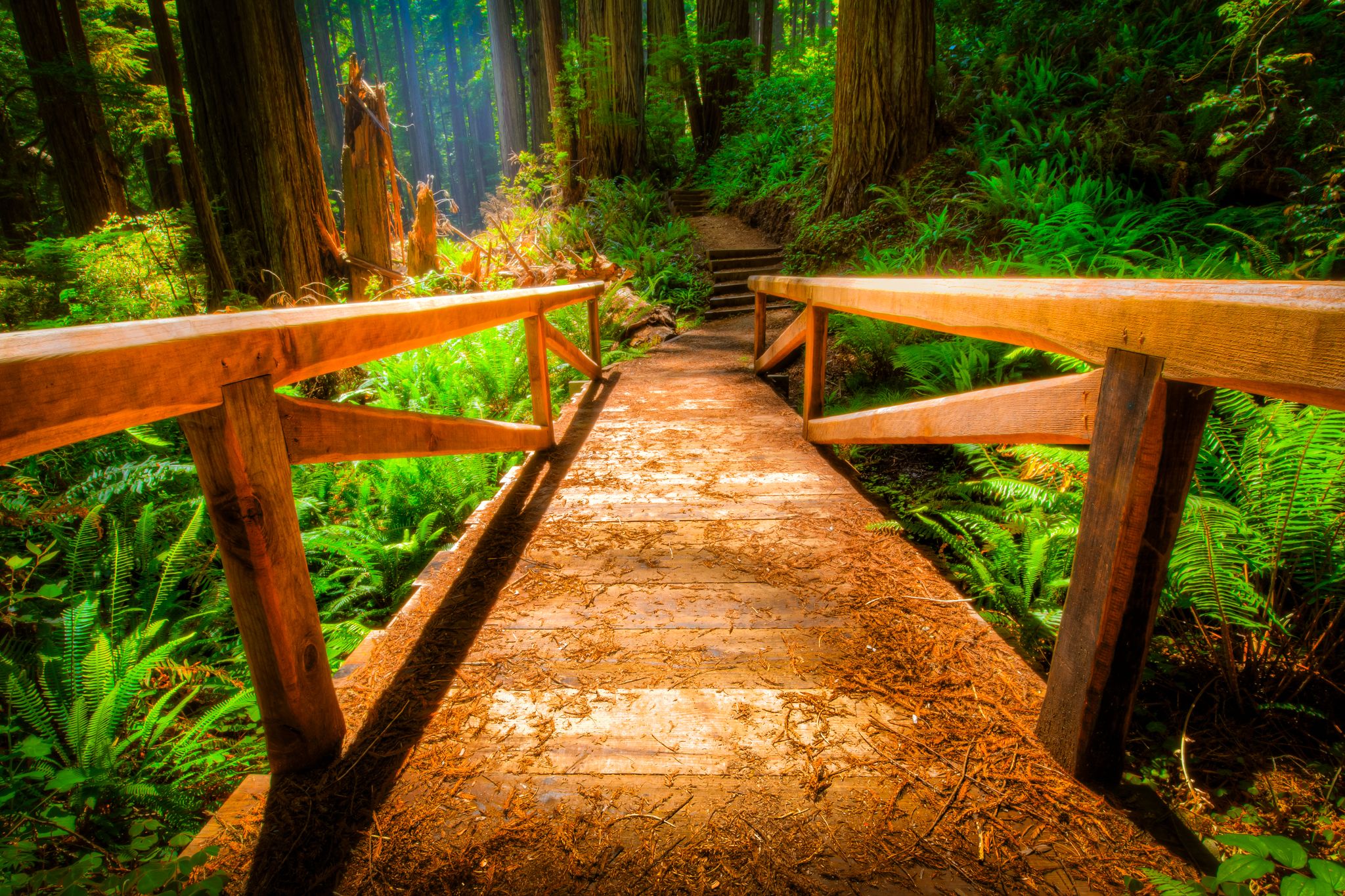 2048x1365 Hiking Trails