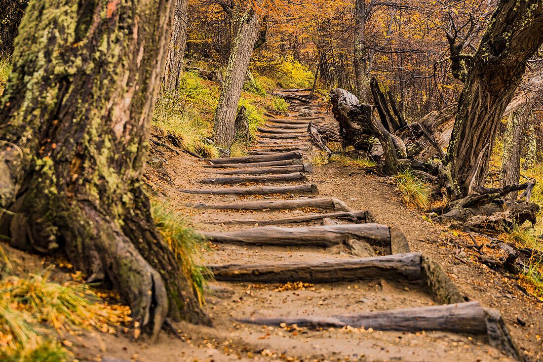 1100x733 Scenic hiking trail with wet wooden