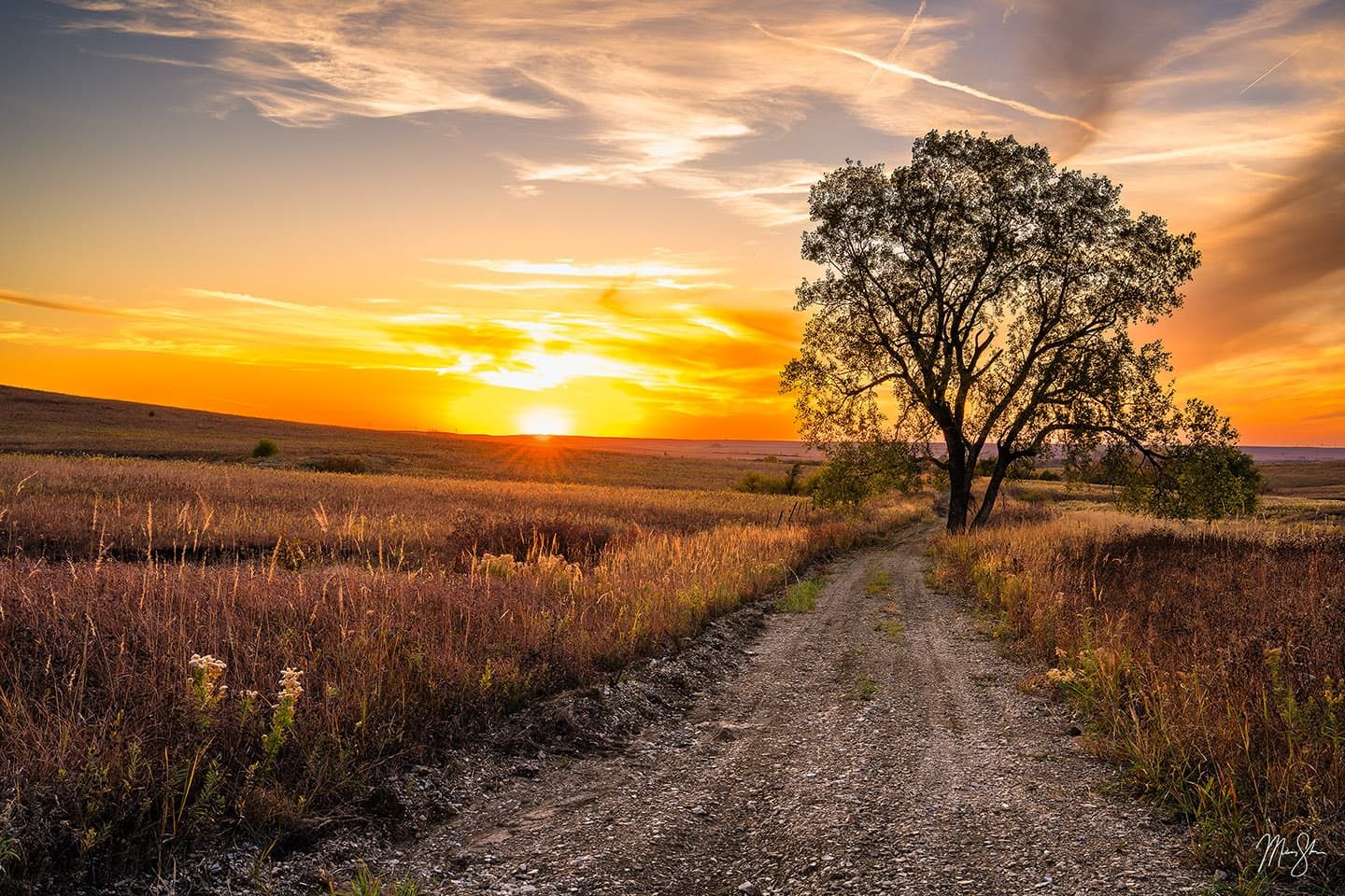1440x960 Kansas Hiking Trails & Scenic Hikes. Mickey Shannon Photography