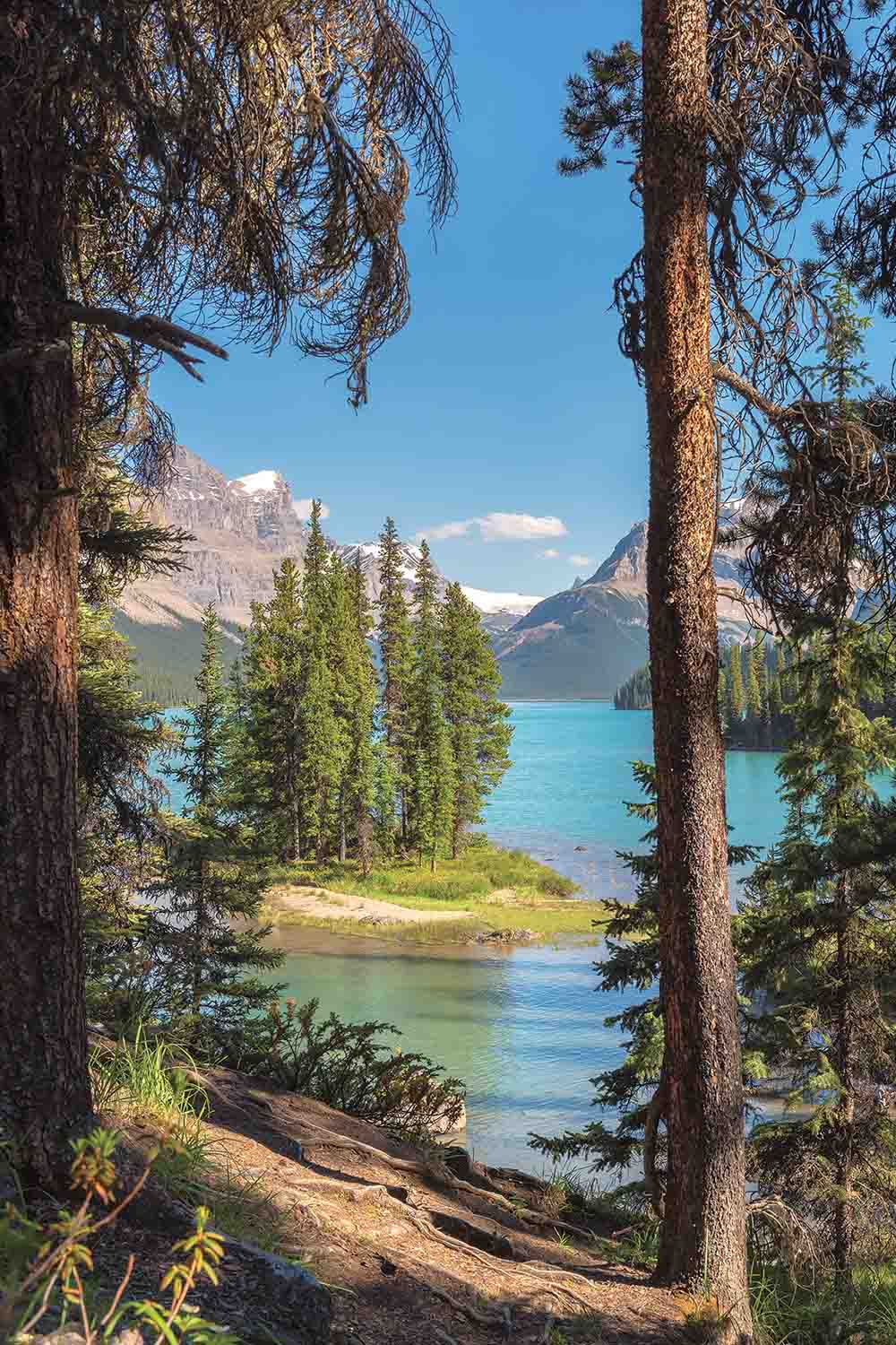 1000x1500 MU1756 Jasper National Park, Alberta ☑️ Photo Wallpaper