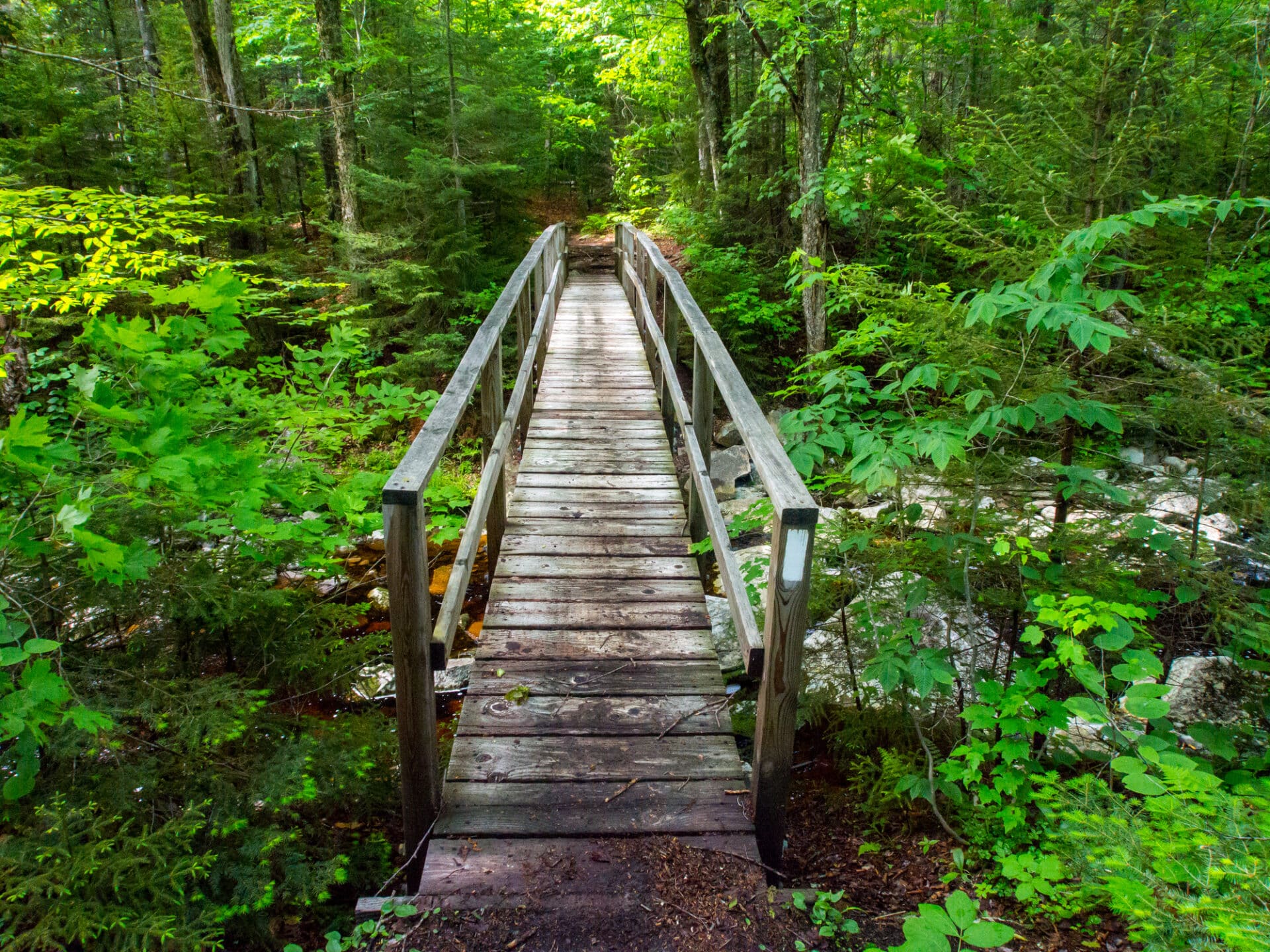 1920x1440 The Best Summer Hikes In Vermont Start and End at the Skinny Pancake