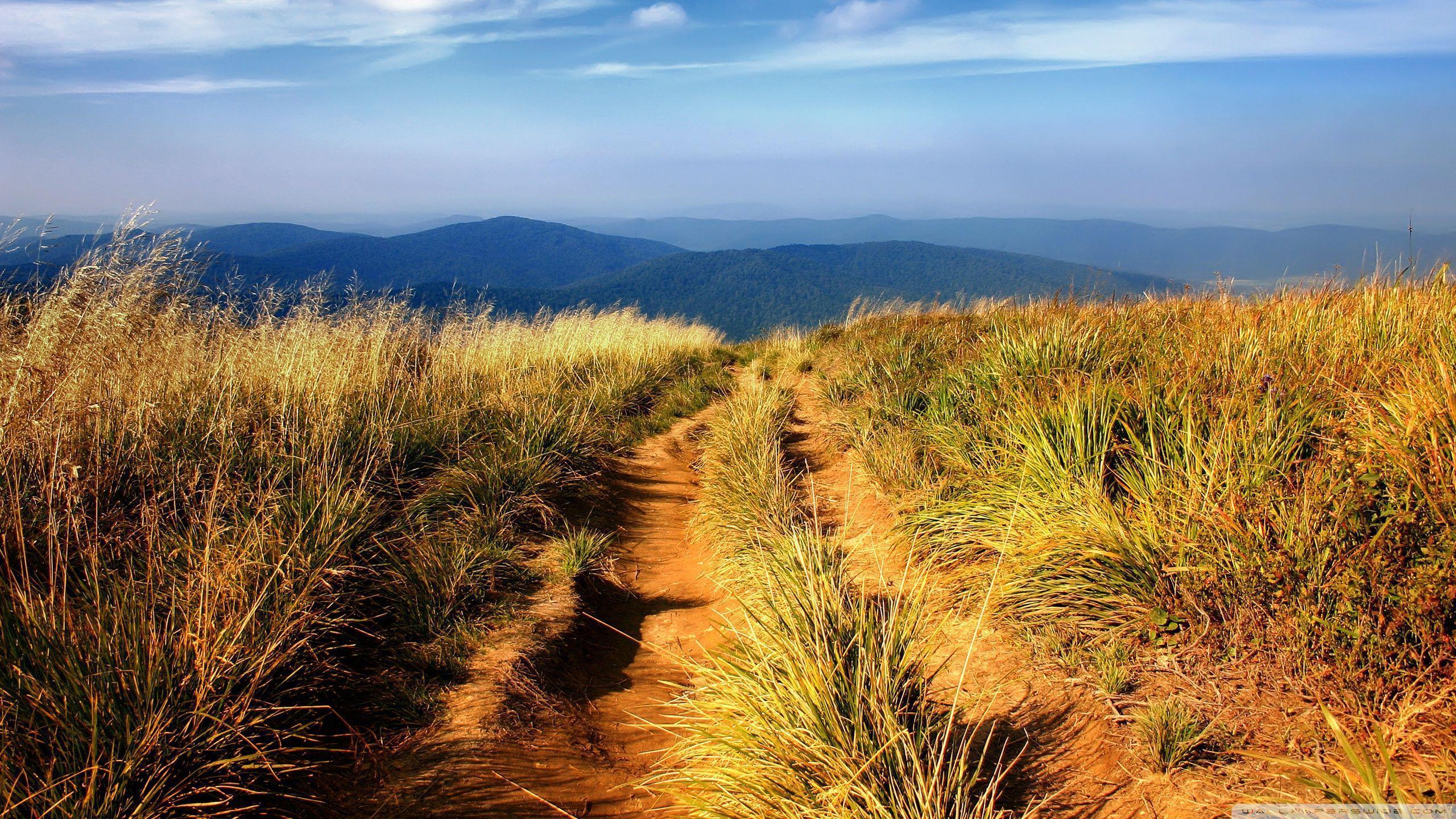 2560x1440 Hiking Wallpaper