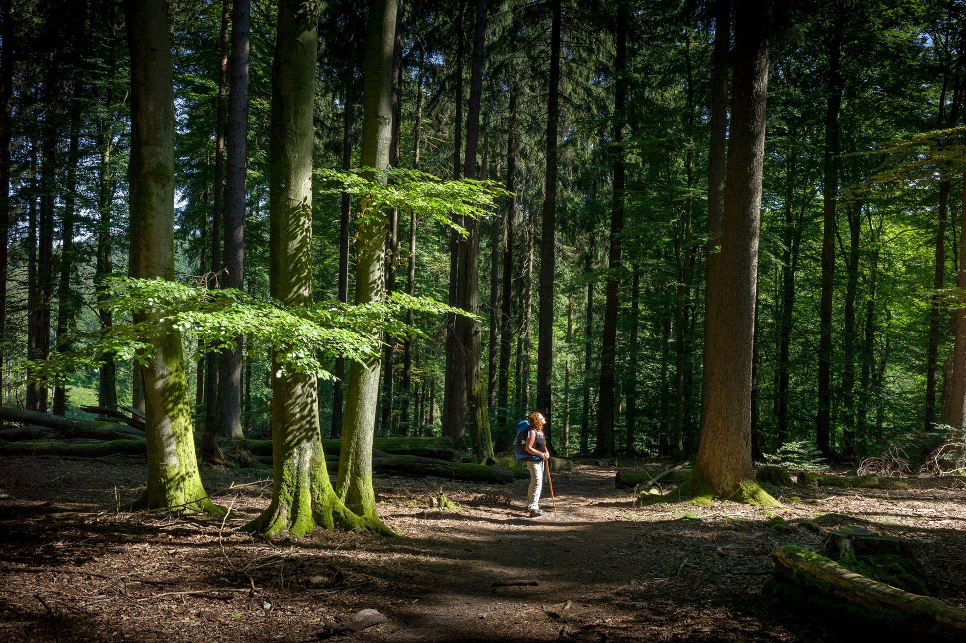 3072x2045 Eat your way along this culinary hiking trail in Germany
