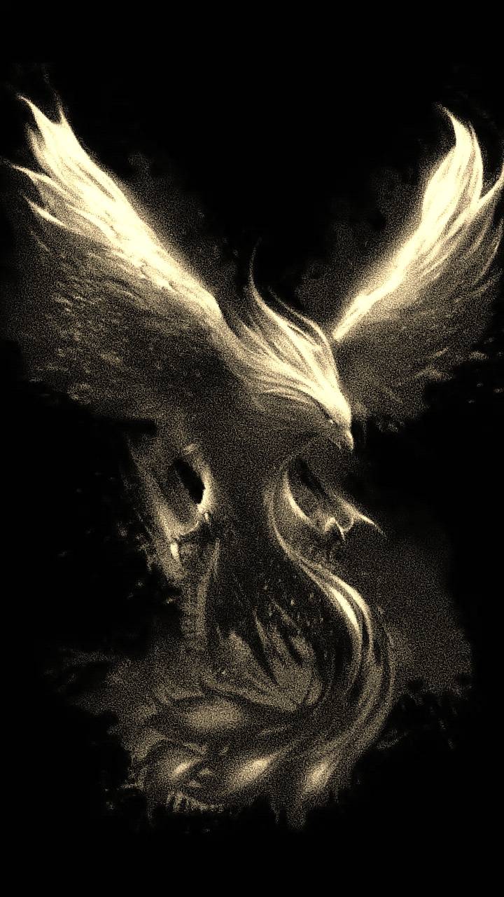 Cool Phoenix Wallpapers - Top Free Cool Phoenix Backgrounds ...