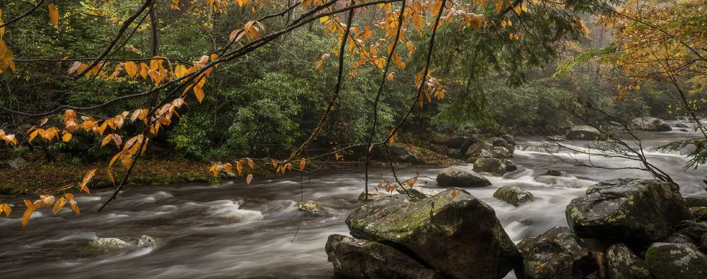 1443x571 Visit Tremont for a Day Trails and Sights to See