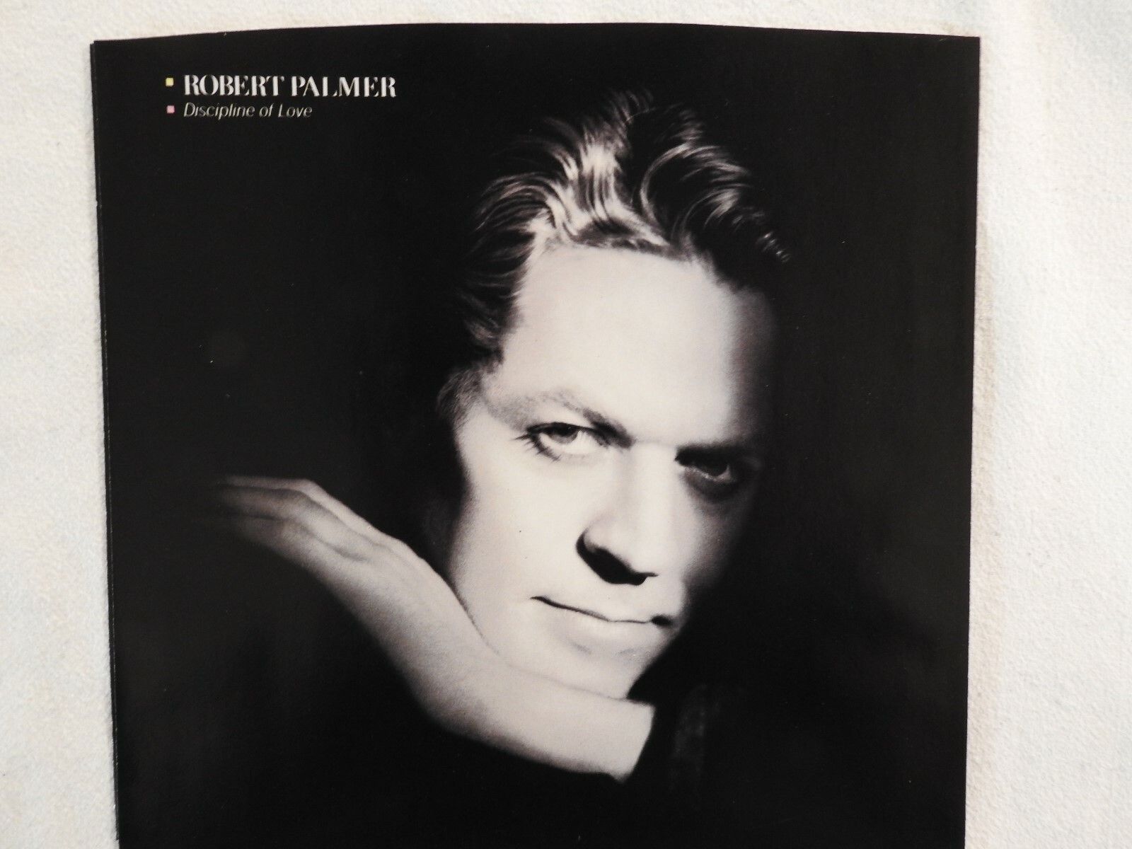 1600x1200 Robert Palmer Discipline Of Love PICTURE SLEEVE! BRAND NEW! NICEST COPY eBAY!