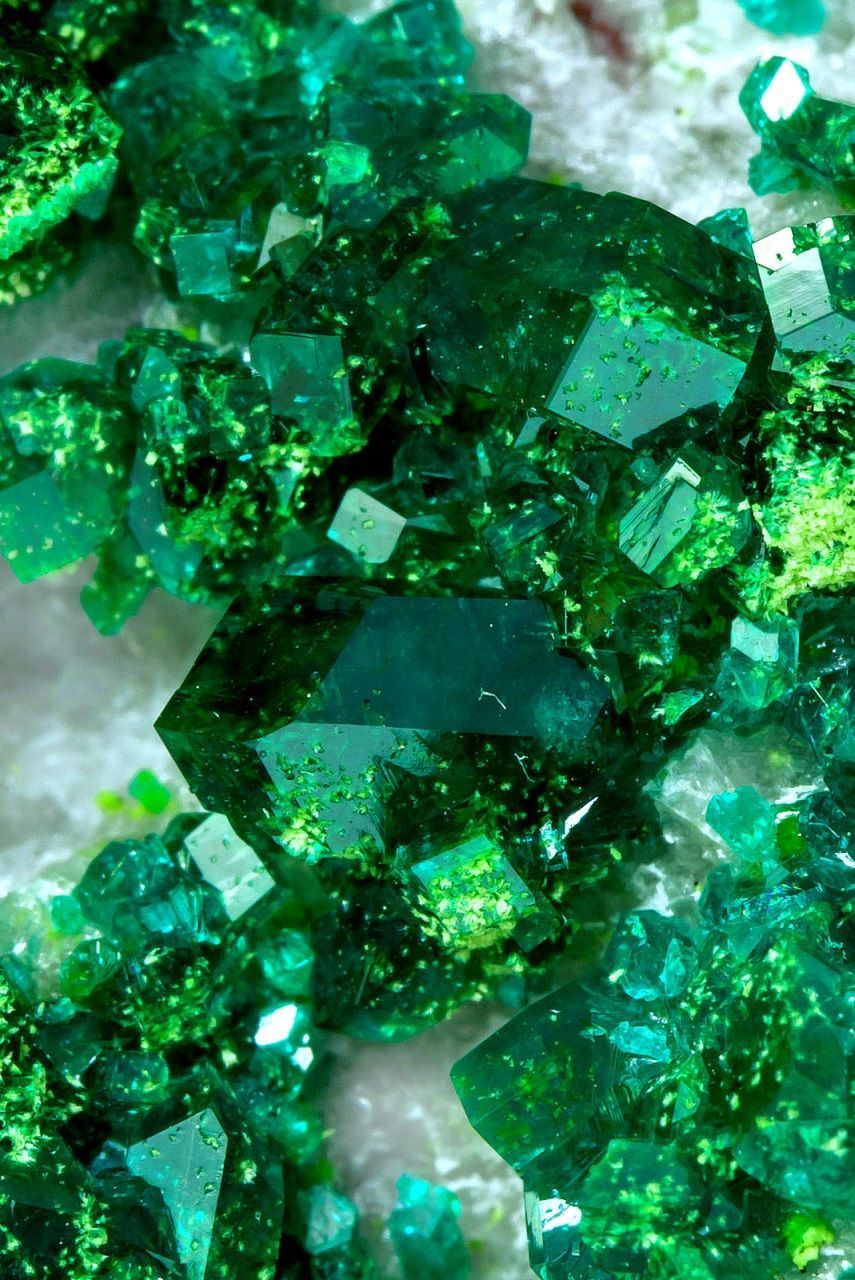 855x1280 Discover 58 emerald green and green aesthetic ideas. dark green aesthetic, green, slytherin aesthetic and more