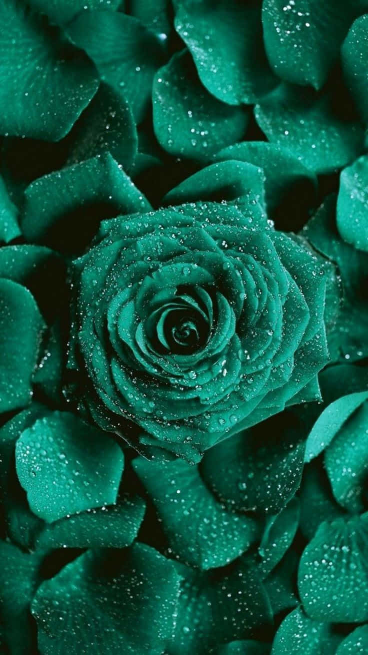 736x1308 Download Nature's Essence In True Emerald Green Wallpaper