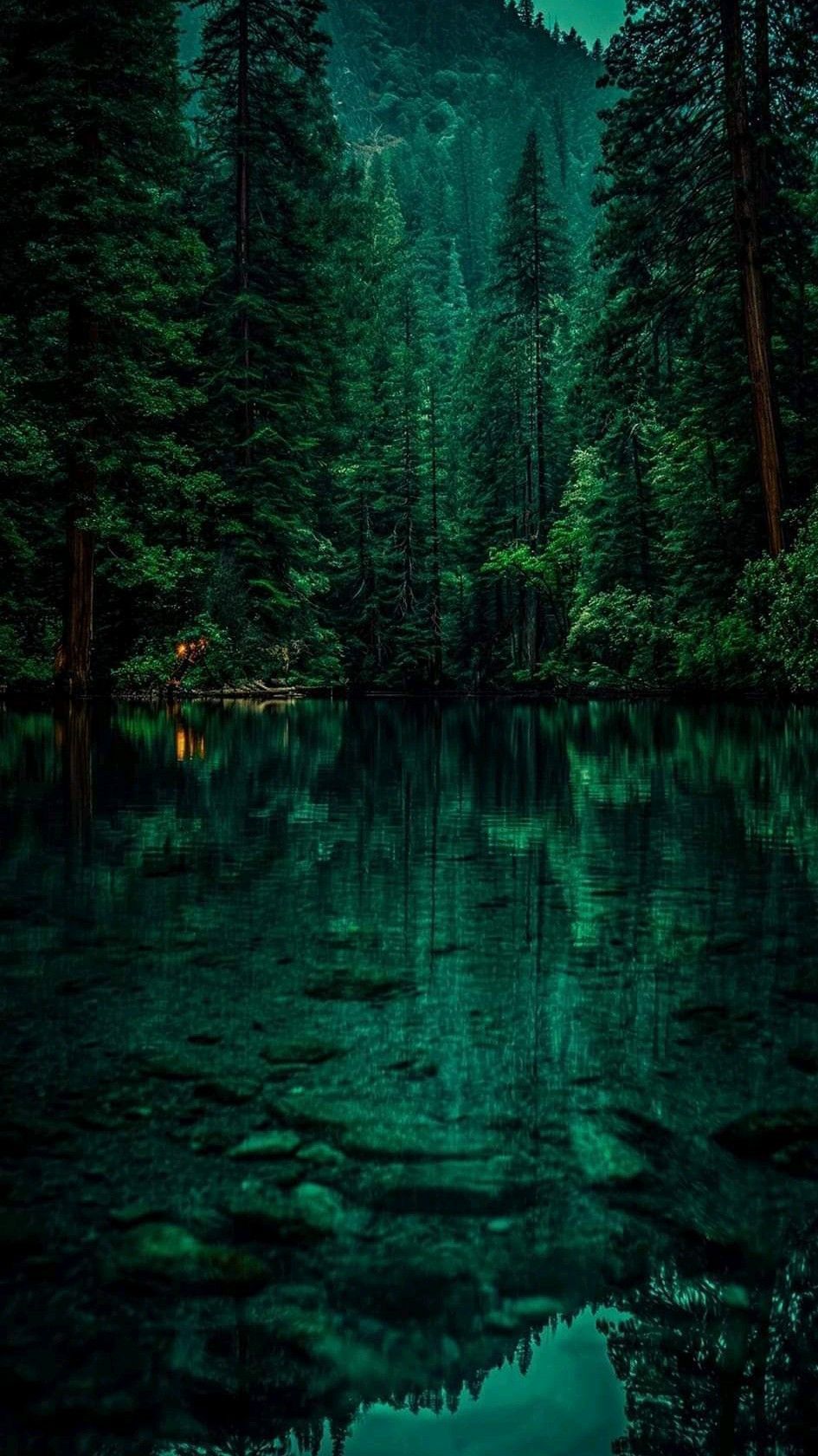 945x1680 Discover 350 Emerald green aesthetic and green aesthetic ideas. slytherin aesthetic, dark green aesthetic, aesthetic and more