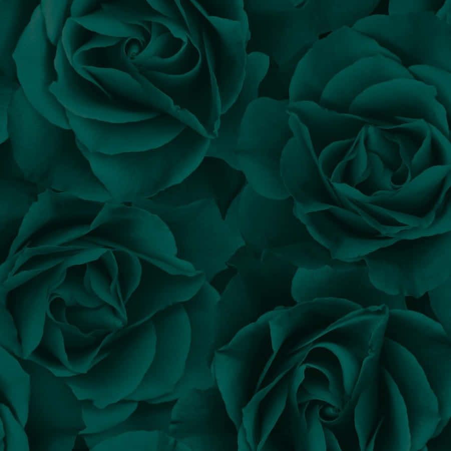 900x900 Emerald Green Wallpaper