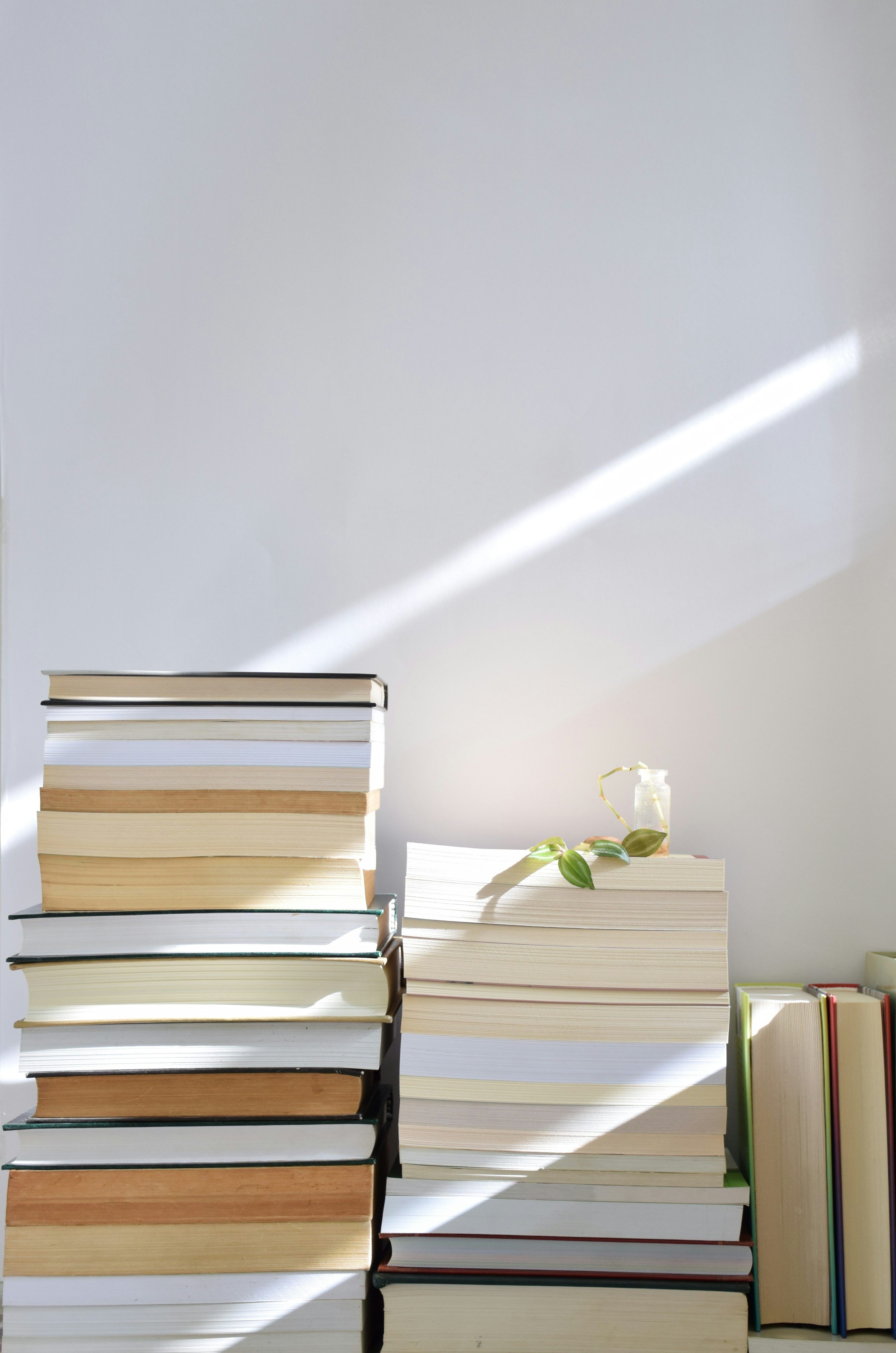 3000x4529 Book Aesthetic Picture. Download Free Image