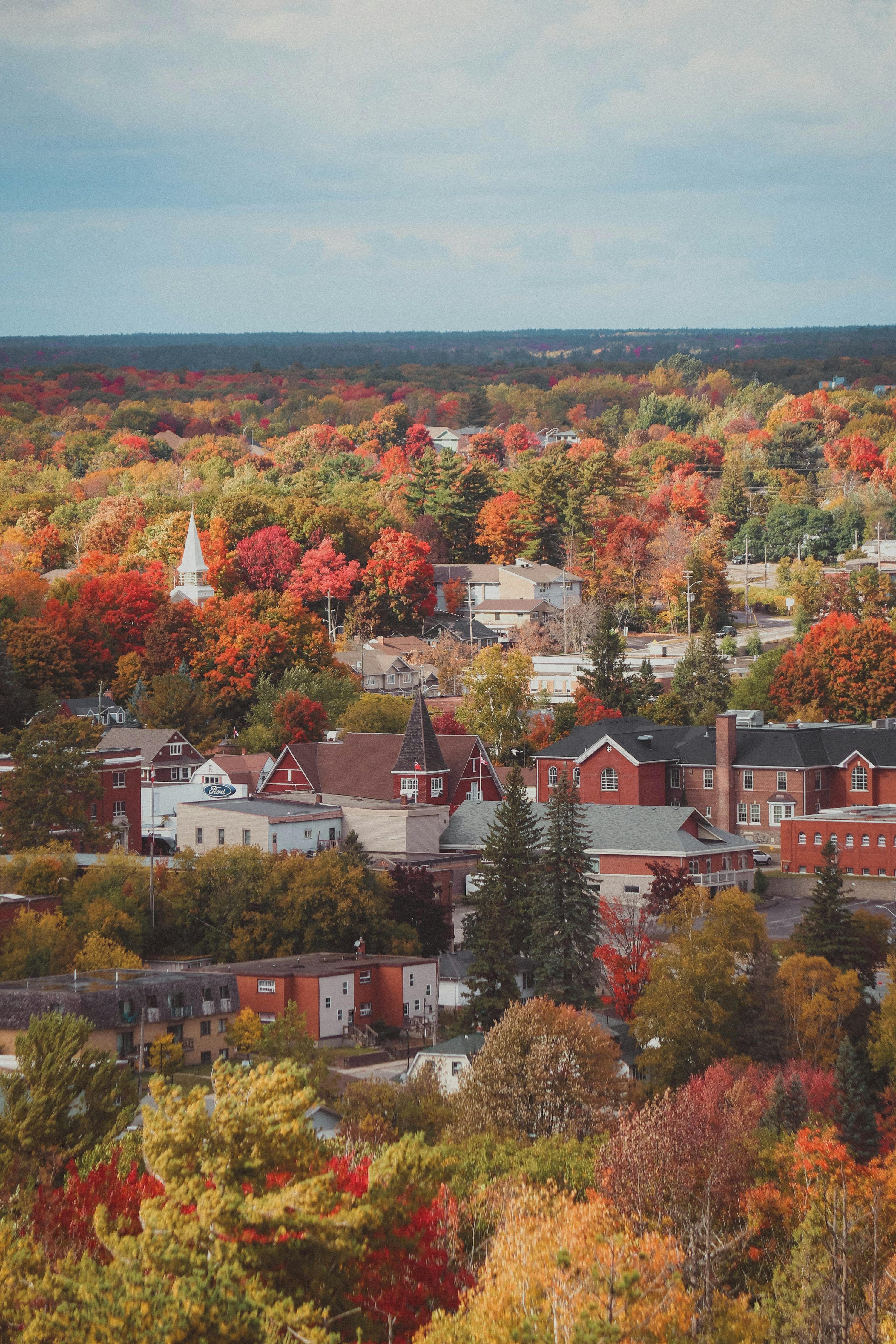 3000x4500 A town surrounded by trees in the fall photo