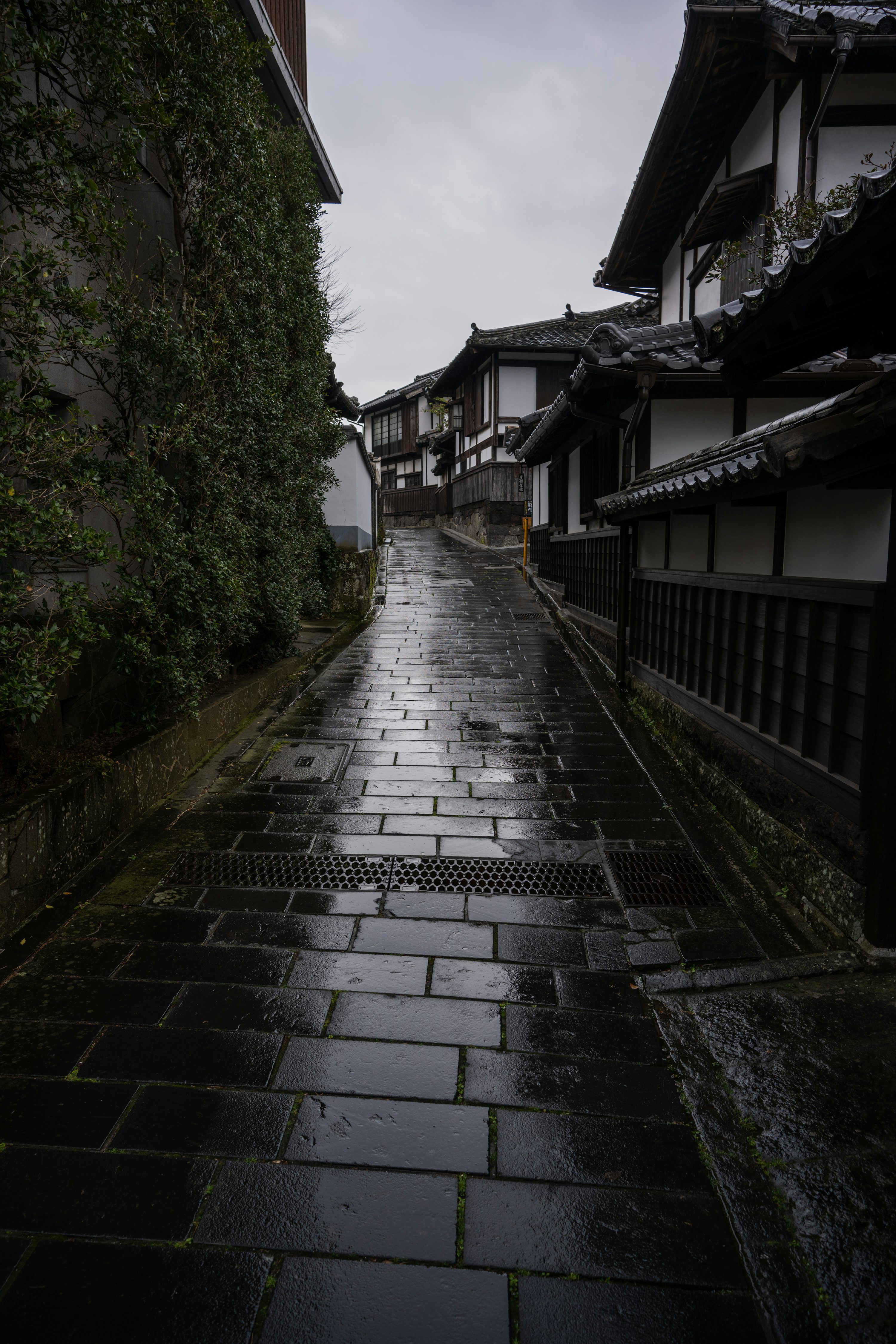 3000x4500 A rainy day in a small town with houses photo