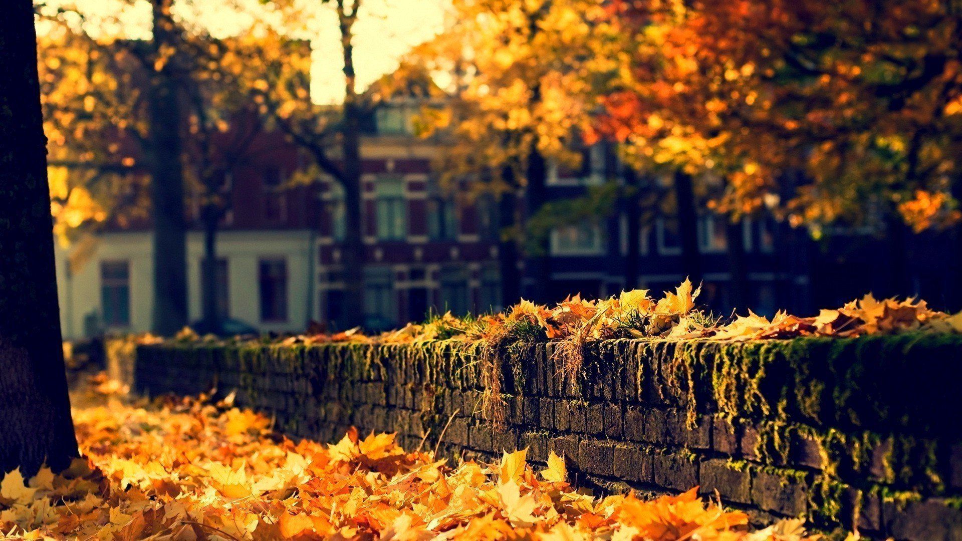 1920x1080 Small Town Wallpaper