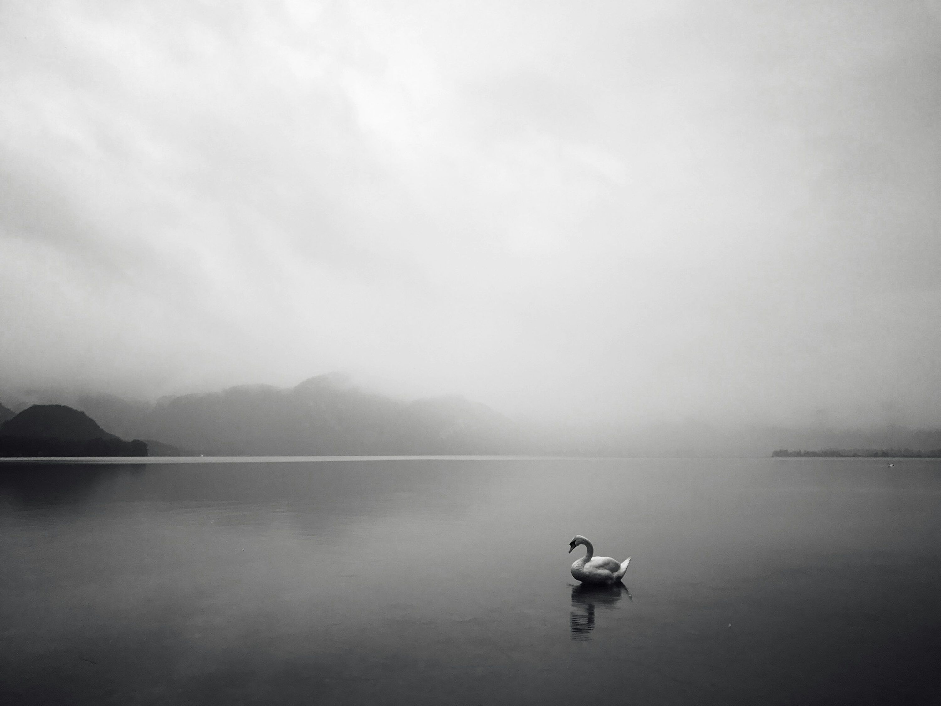 3000x2250 Stillness Picture. Download Free Image