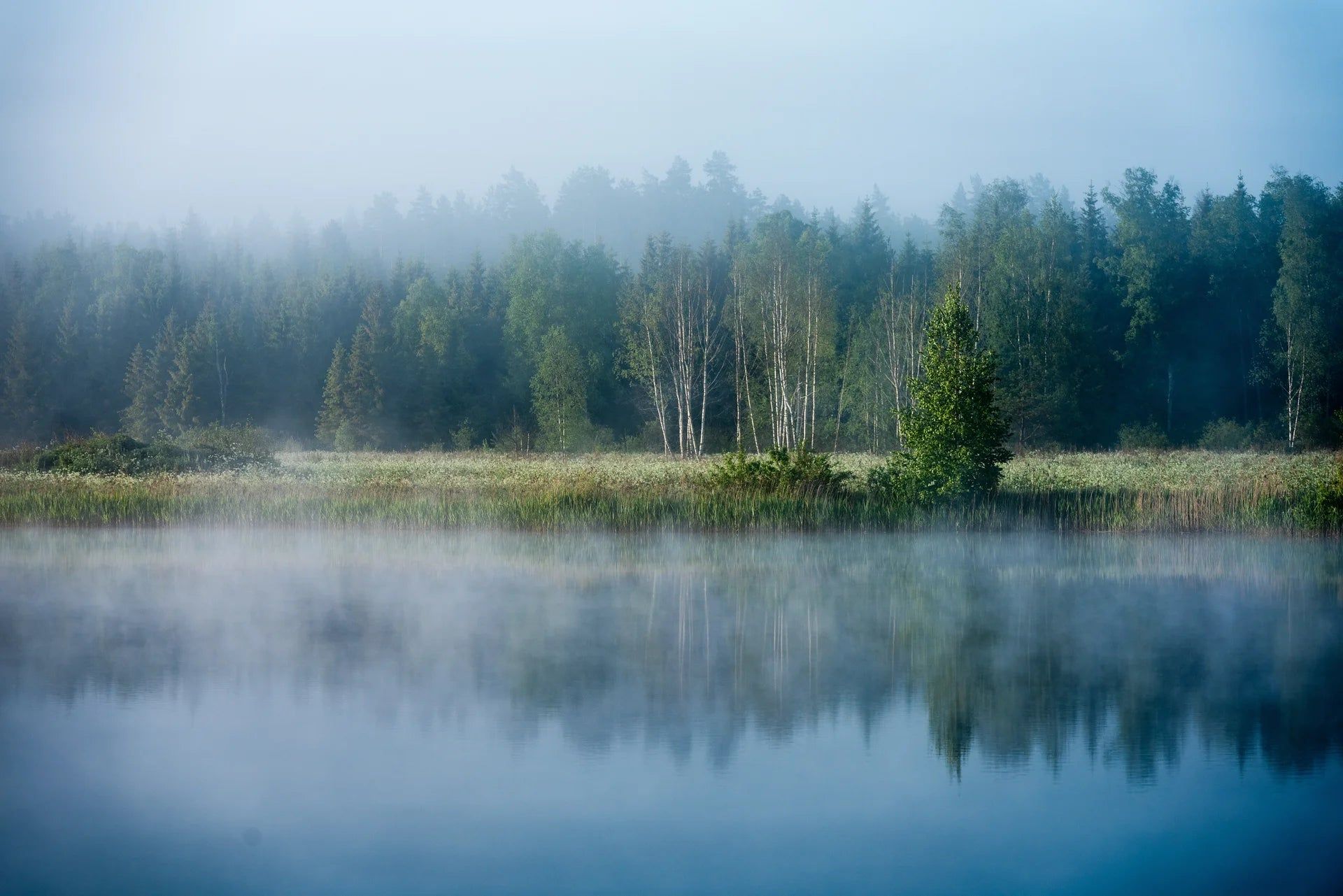 1920x1281 Stillness Lake Reflection Wallpaper