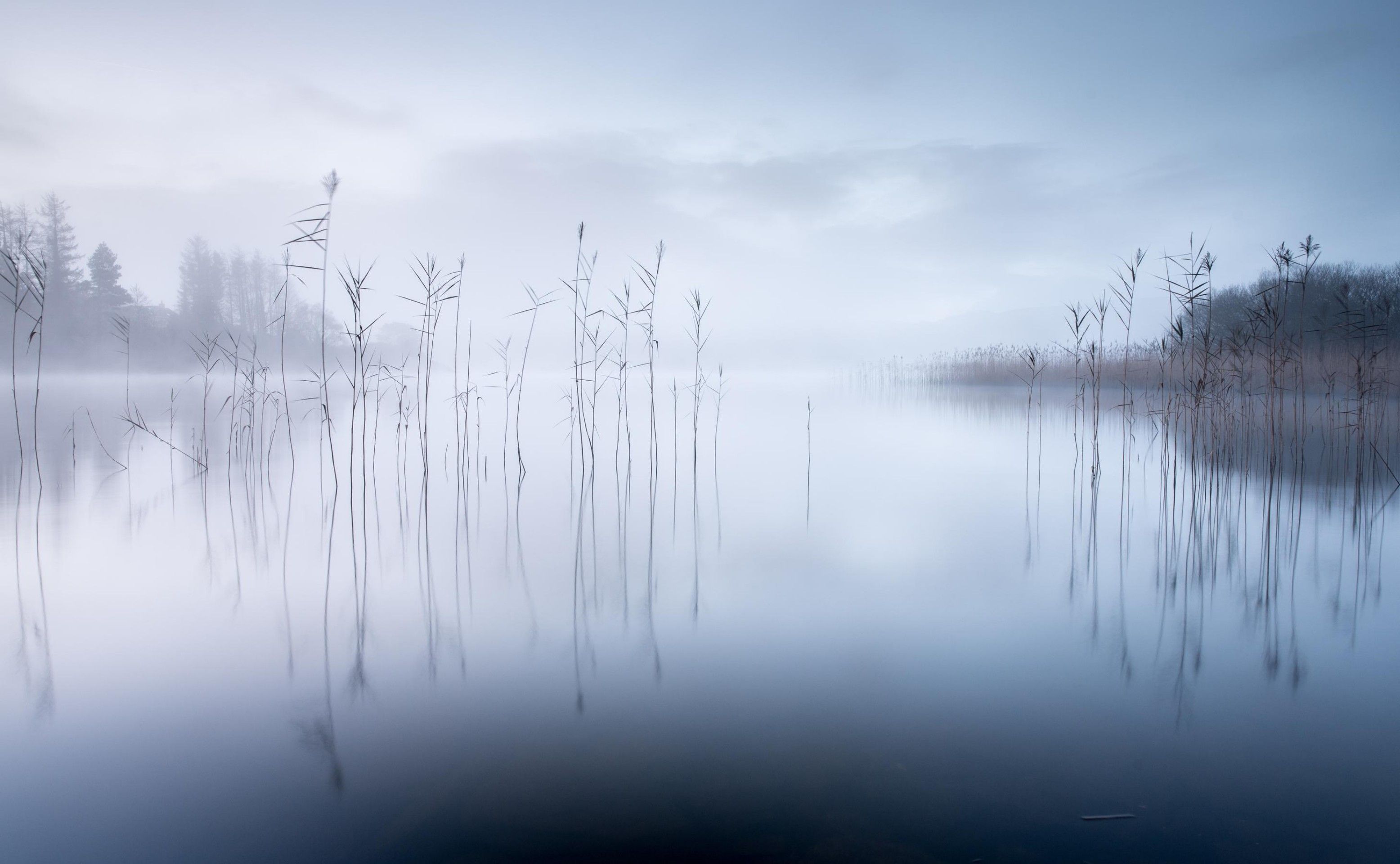 3112x1920 Wall mural Stillness of the Lake from Scandiwall. wallpassion.co.uk