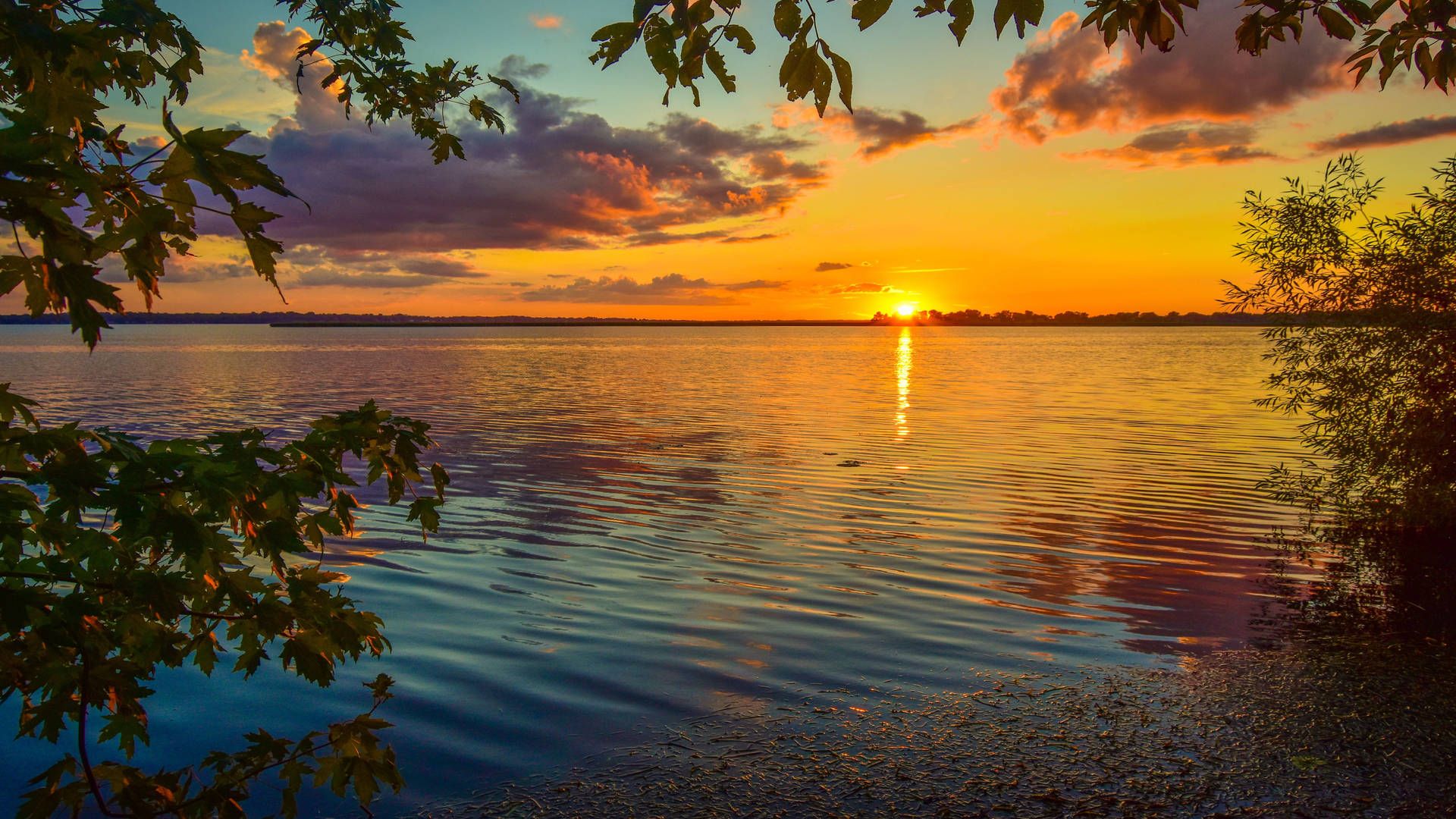 1920x1080 Download Enjoying the stillness of a peaceful lake sunset Wallpaper