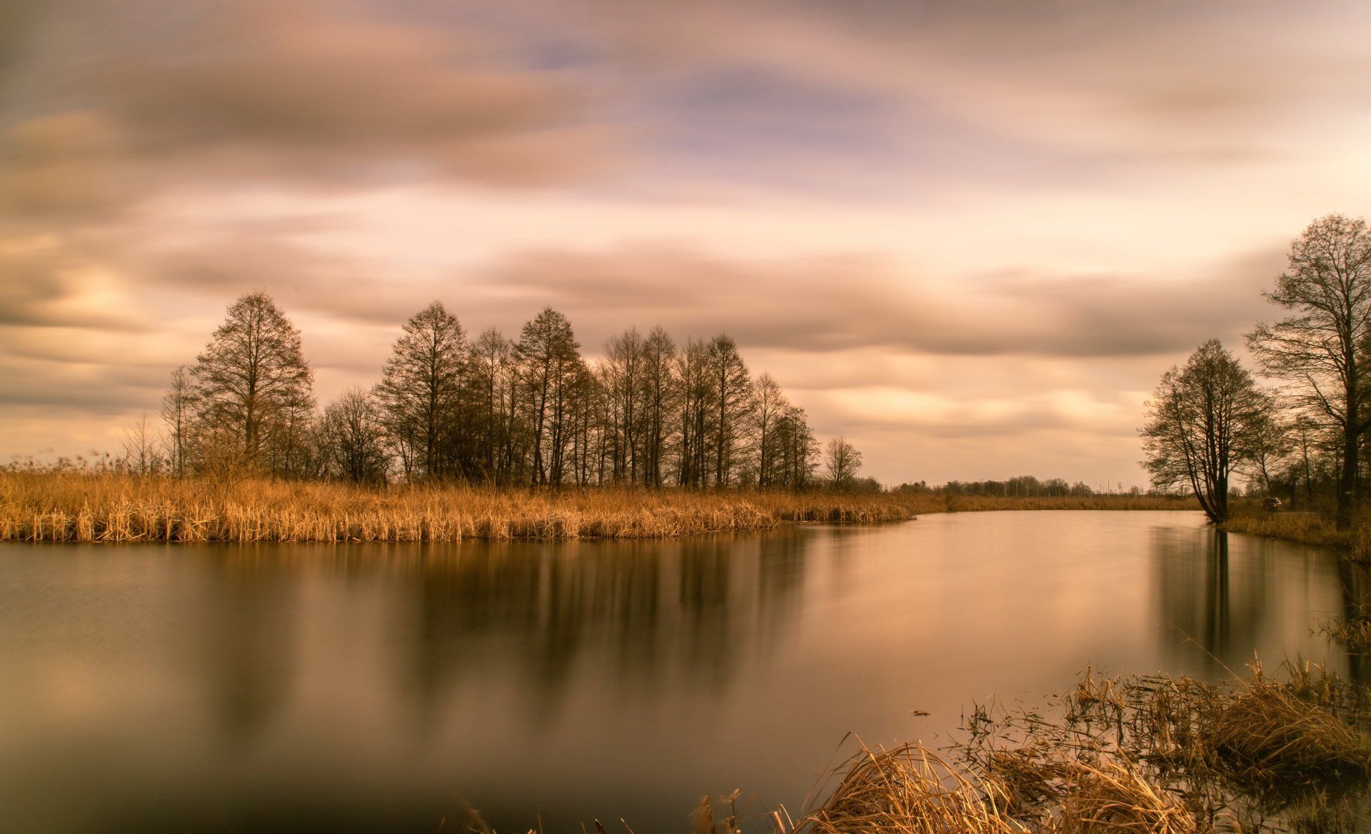 1920x1168 Golden Stillness