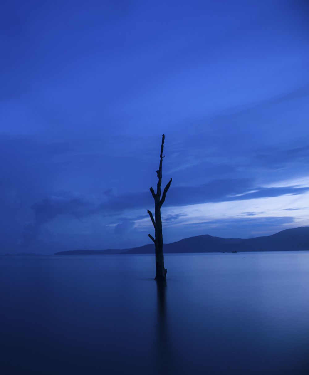 1000x1212 Stillness & Movement. International Photo Awards