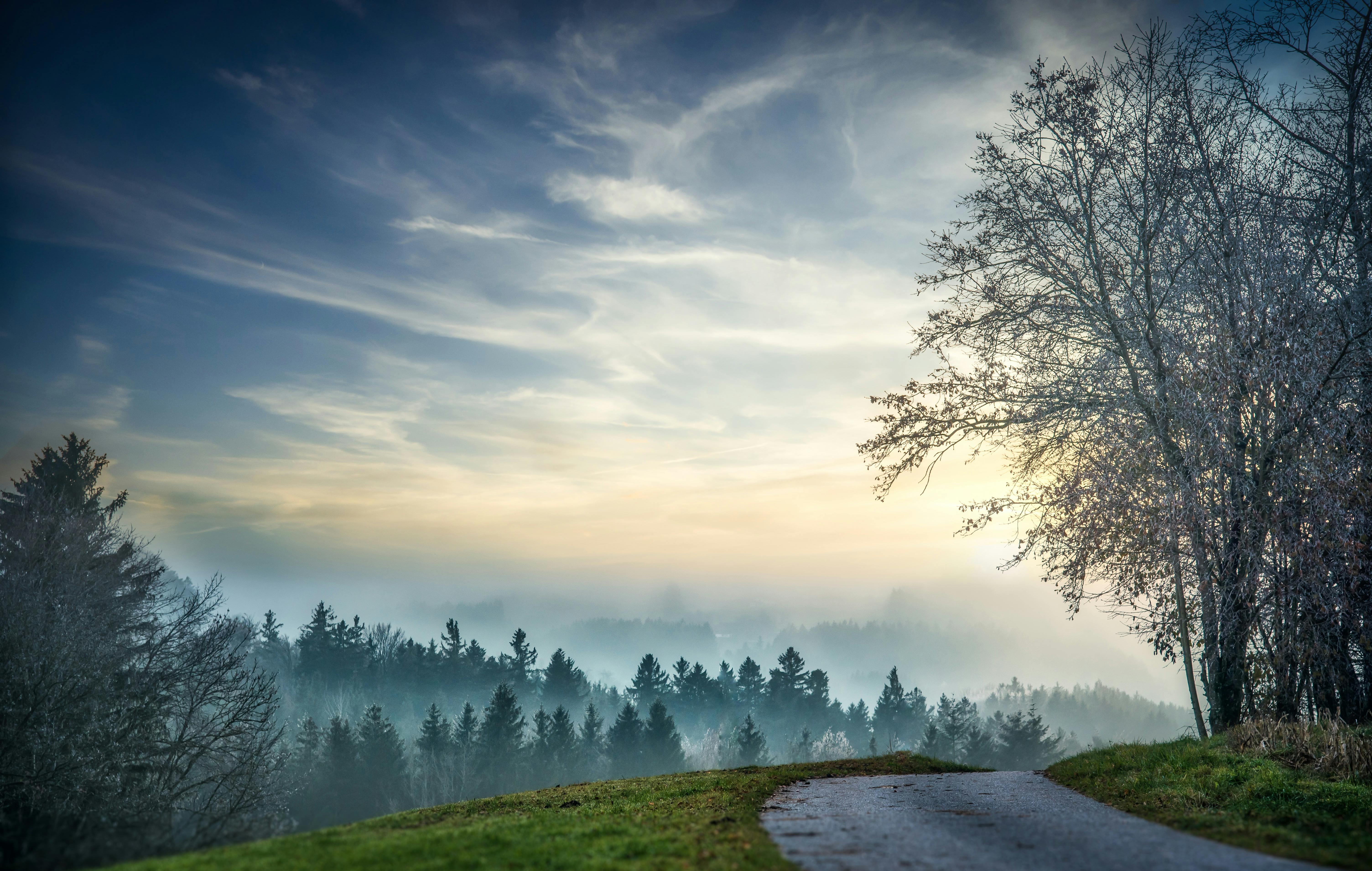 6016x3817 Road and Forest on a Misty Morning · Free
