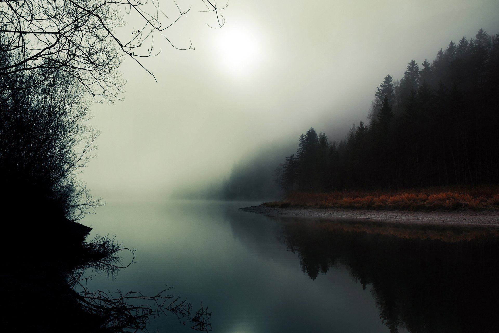 1920x1280 Serene Foggy Nature: HD Wallpaper for Tranquil Moments