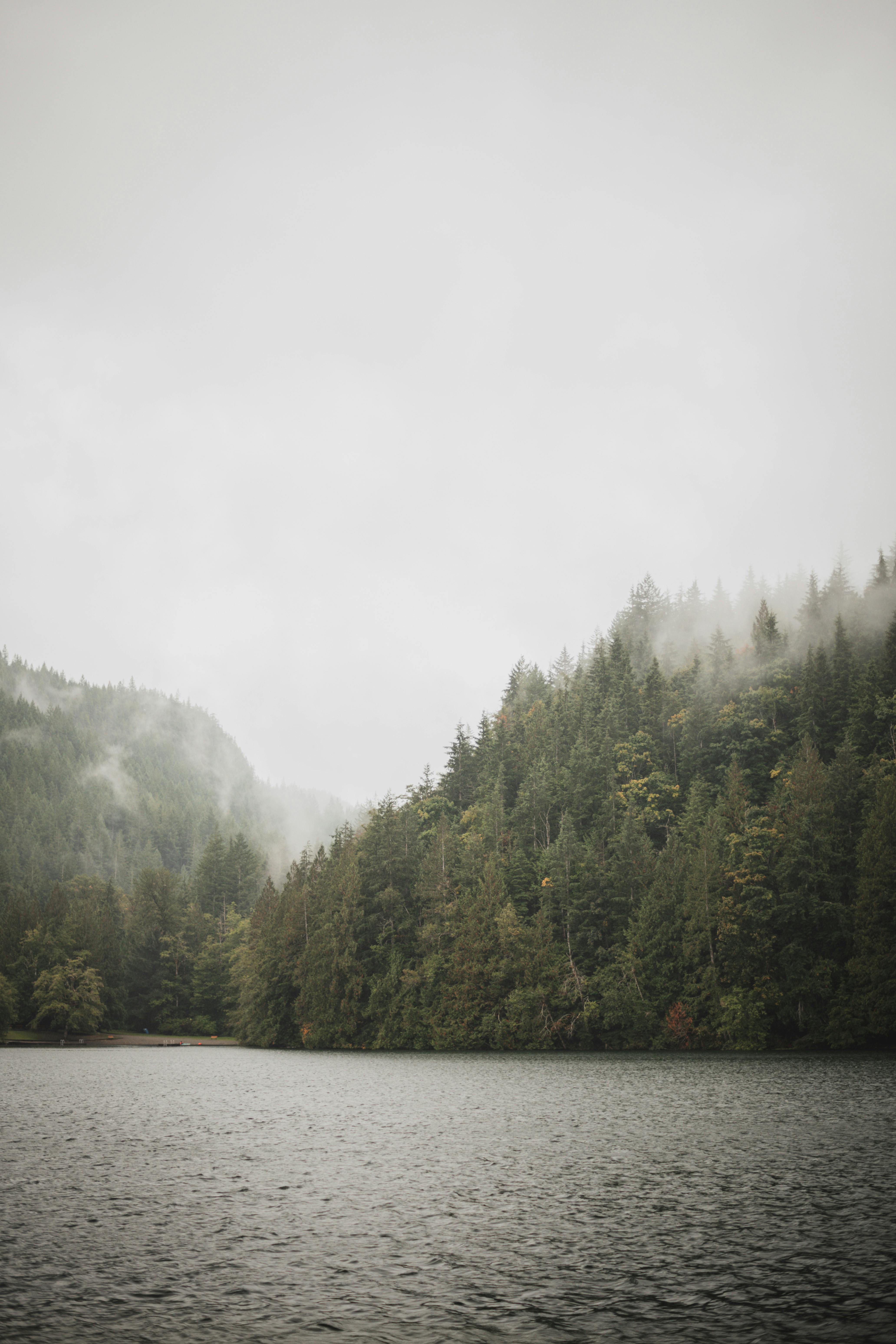 4128x6192 Foggy Landscape of a Lake · Free