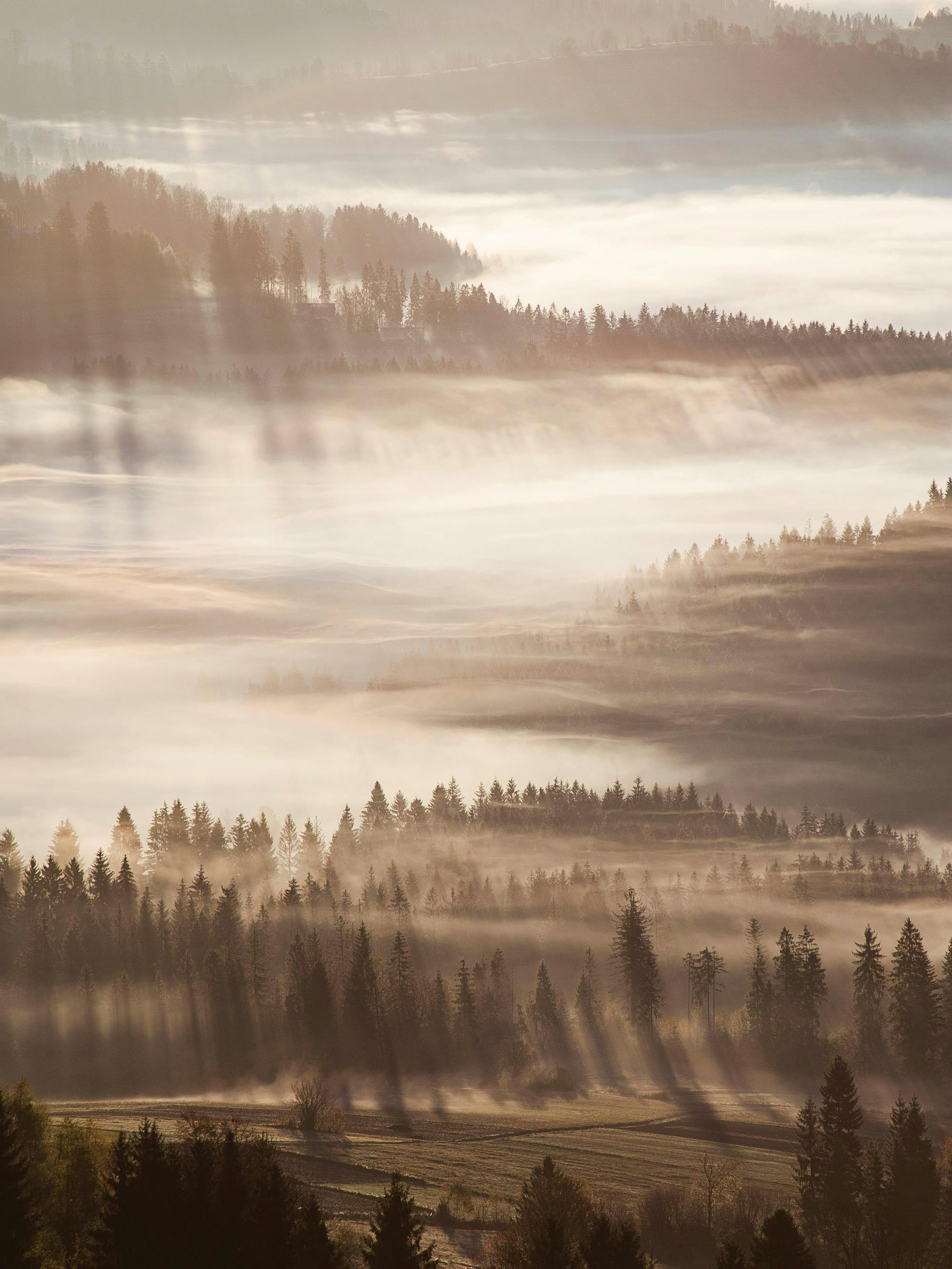 2000x2667 Sun Rays Through Mist Print 12 x 16 in