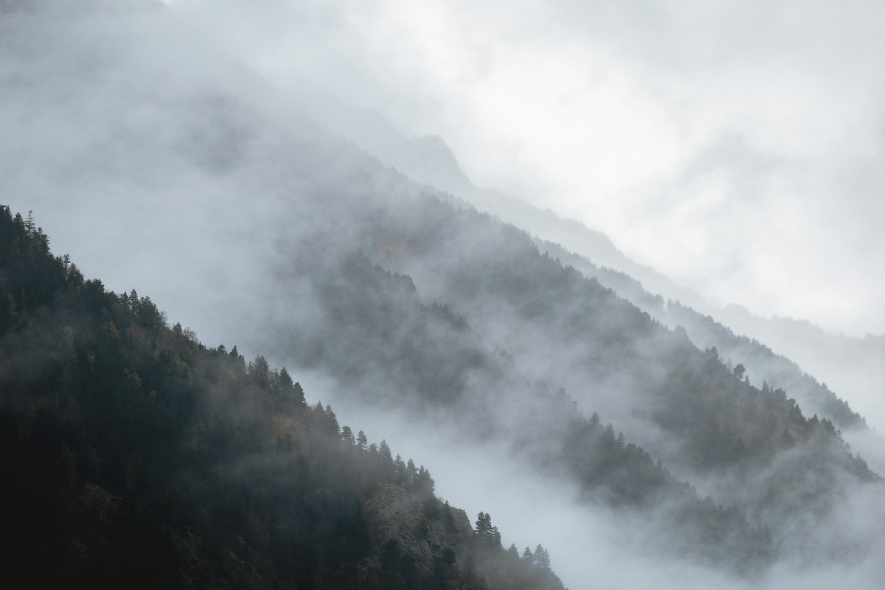 3000x2000 Misty forest covered mountains in soft light photo