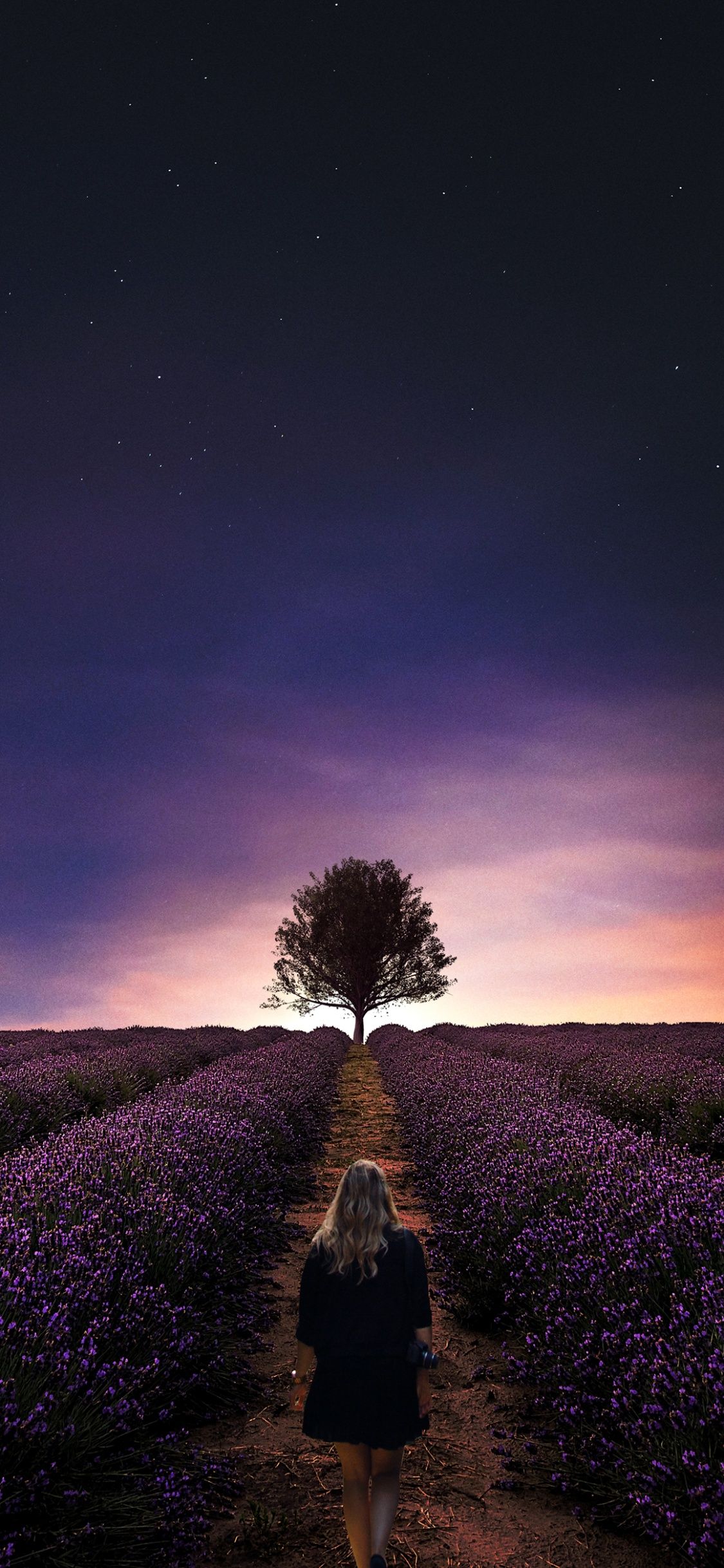 1125x2436 Sunset Wallpaper 4K, Girl, Alone, Lavender farm