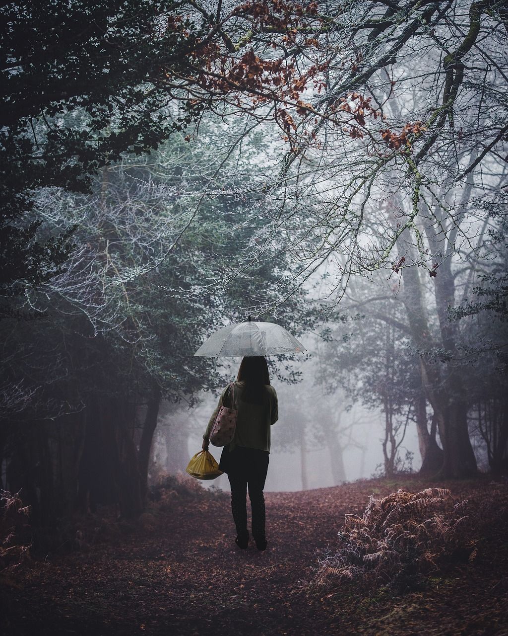 1024x1280 People, girl, alone, jungle, standing