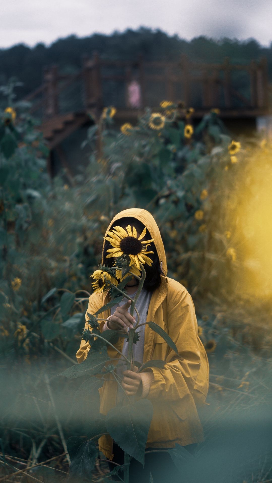 1080x1920 Wallpaper Alone Vibe, Plant, People in Nature, Sunlight, Grass, Background Free Image