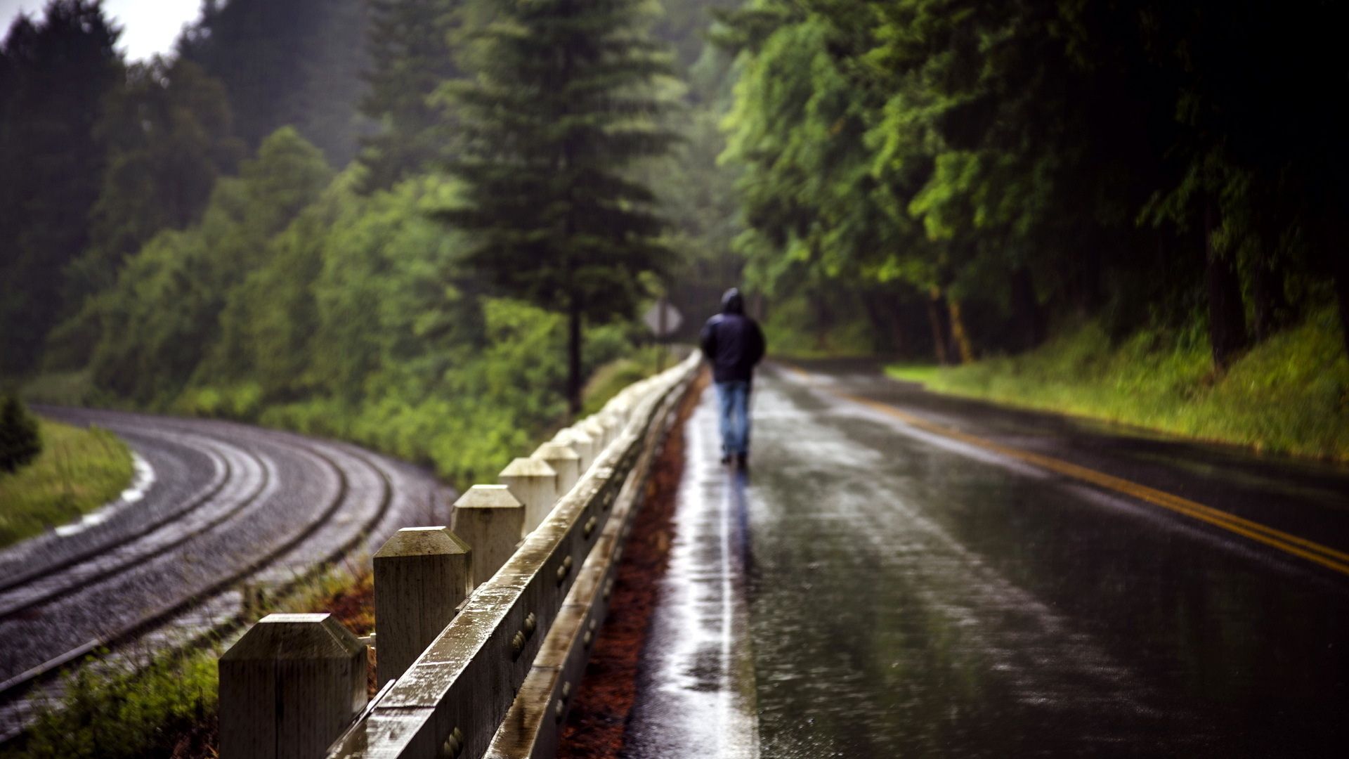 1920x1080 world, Roads, Railroad, Tracks, Fence, People, Men, Males, Mood, Alone, Nature, Landscapes, Trees, Forest, Storm, Rain, Wet Wallpaper HD / Desktop and Mobile Background
