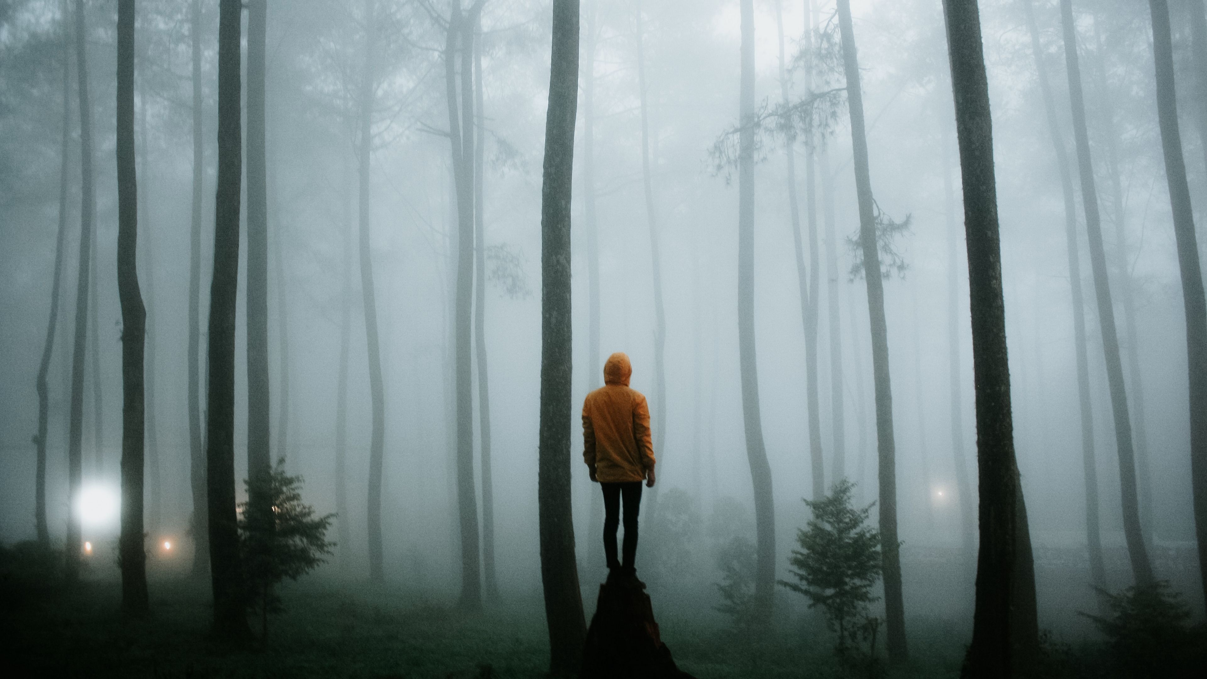 3840x2160 Man Fog Forest Standing Tree Trunk Loneliness Alone 4K HD Alone Wallpaper