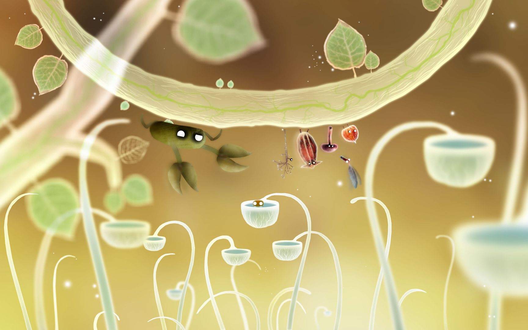1728x1080 Amanita Design: Botanicula