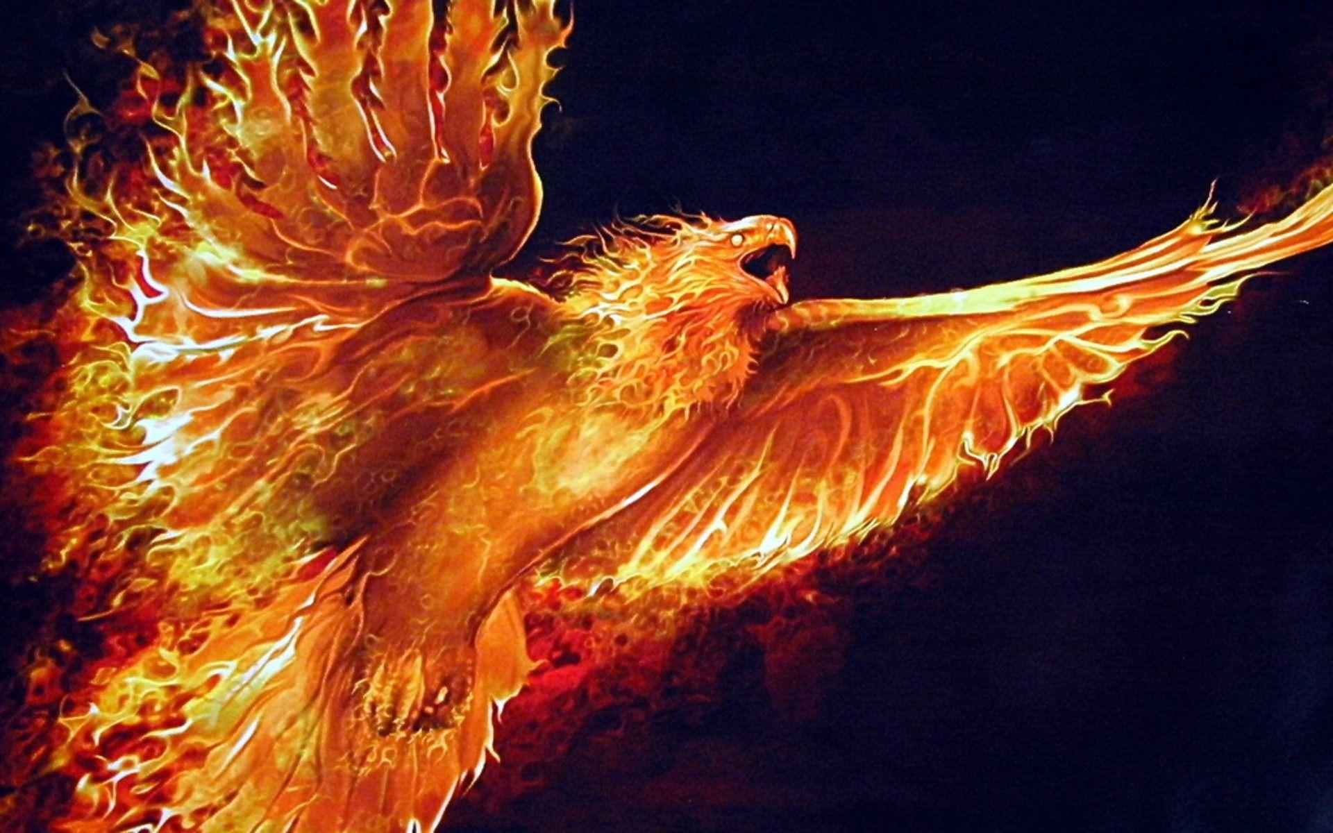 1920x1200 Phoenix Cool Image, HD Wallpaper, Background