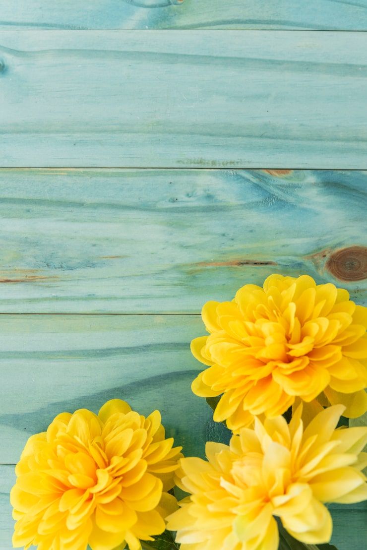 740x1109 Yellow flower dark background Image